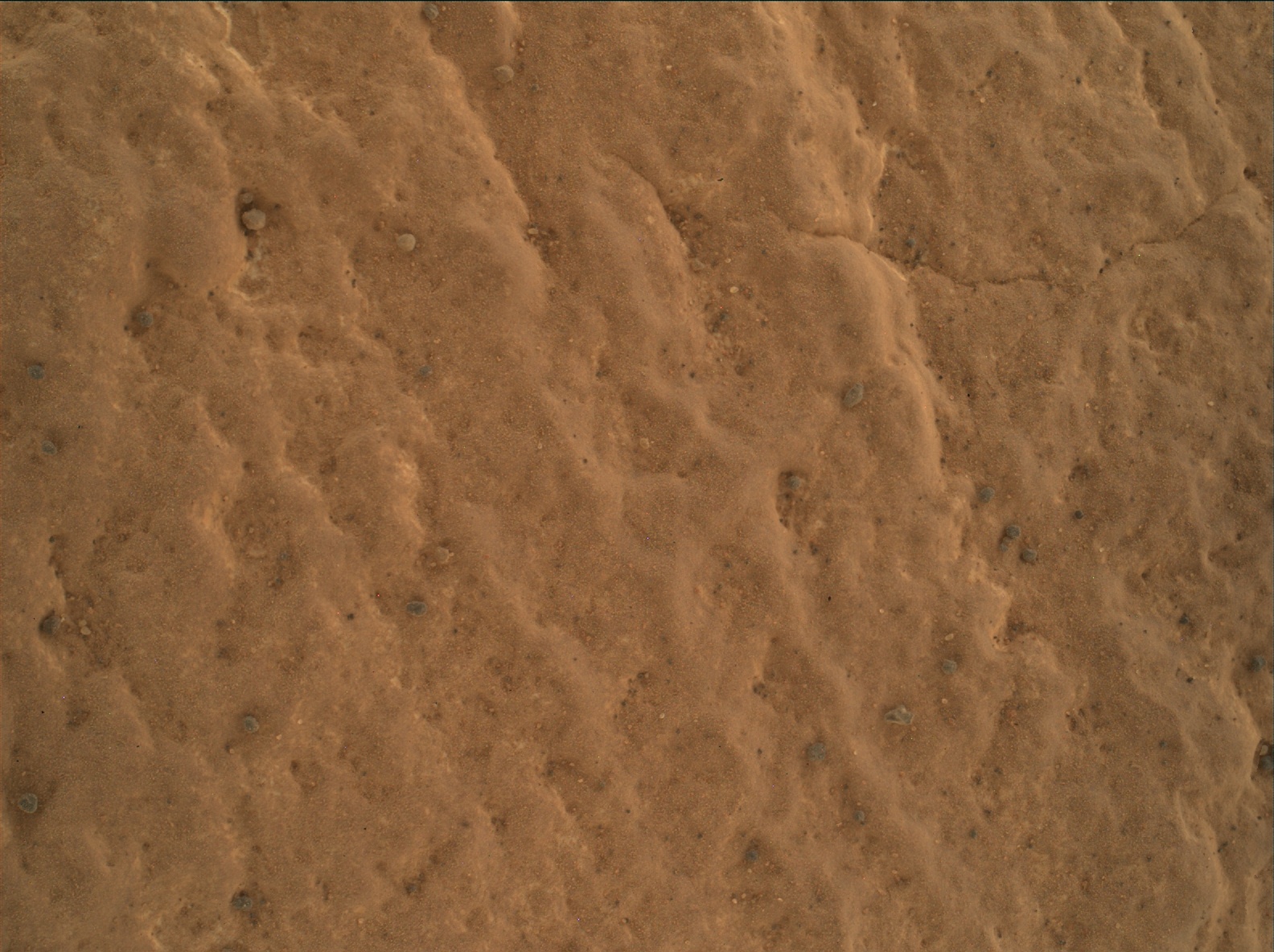 Nasa's Mars rover Curiosity acquired this image using its Mars Hand Lens Imager (MAHLI) on Sol 1729