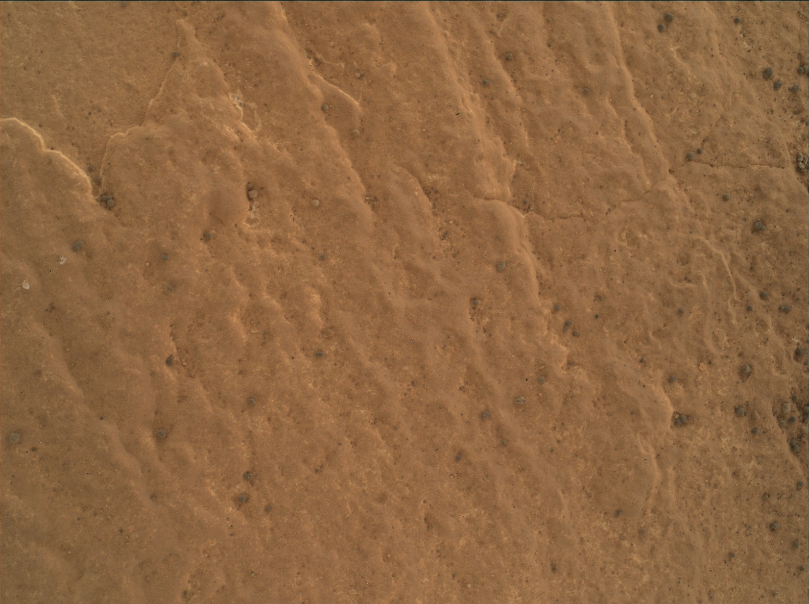 Nasa's Mars rover Curiosity acquired this image using its Mars Hand Lens Imager (MAHLI) on Sol 1729