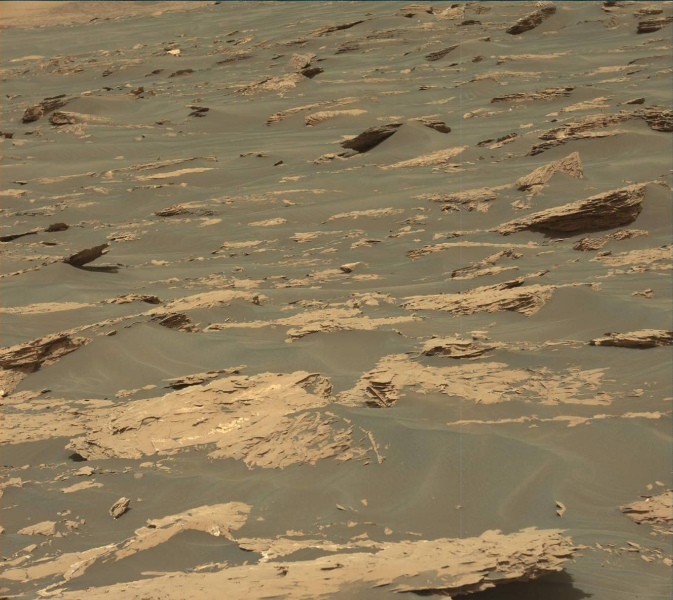 Nasa's Mars rover Curiosity acquired this image using its Mast Camera (Mastcam) on Sol 1730