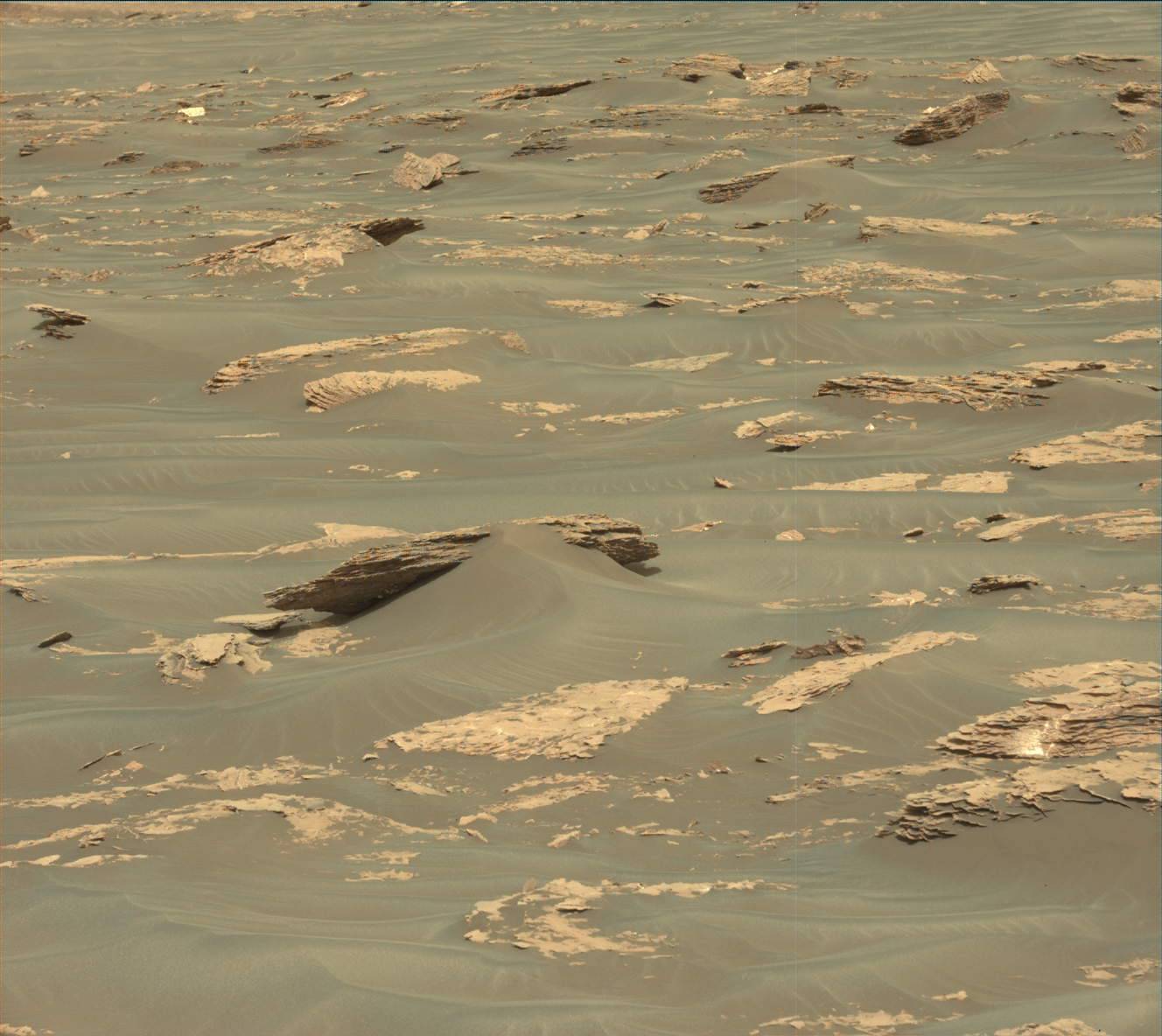 Nasa's Mars rover Curiosity acquired this image using its Mast Camera (Mastcam) on Sol 1732