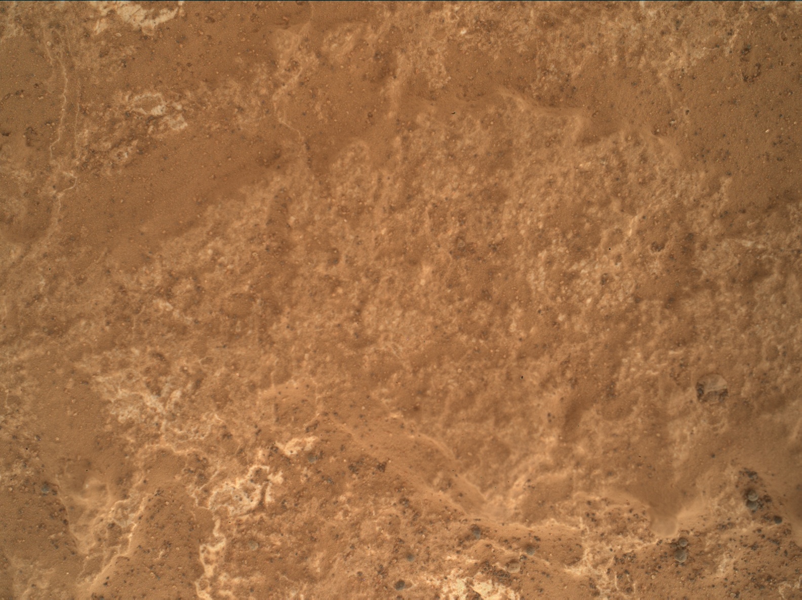 Nasa's Mars rover Curiosity acquired this image using its Mars Hand Lens Imager (MAHLI) on Sol 1732