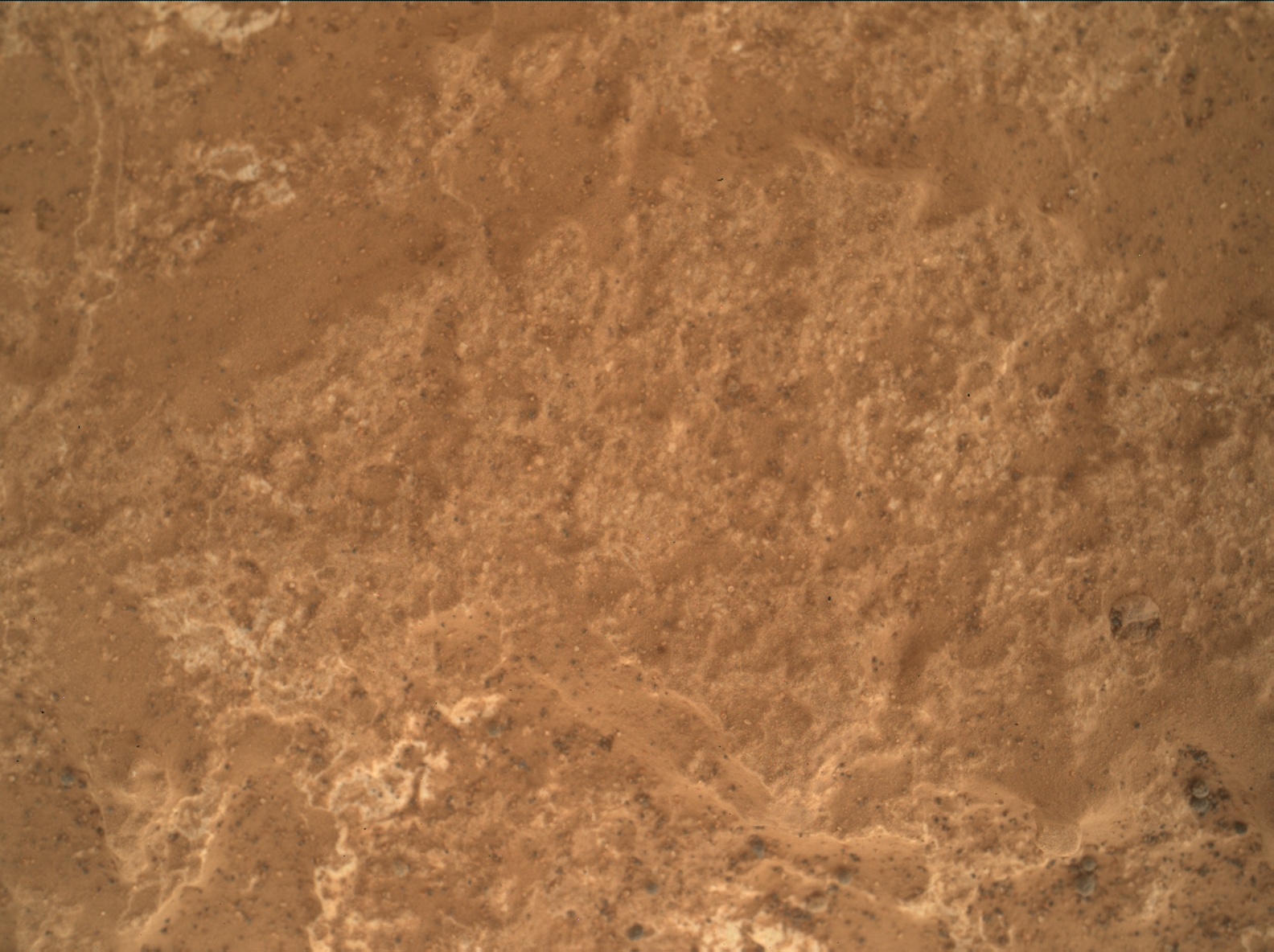 Nasa's Mars rover Curiosity acquired this image using its Mars Hand Lens Imager (MAHLI) on Sol 1732