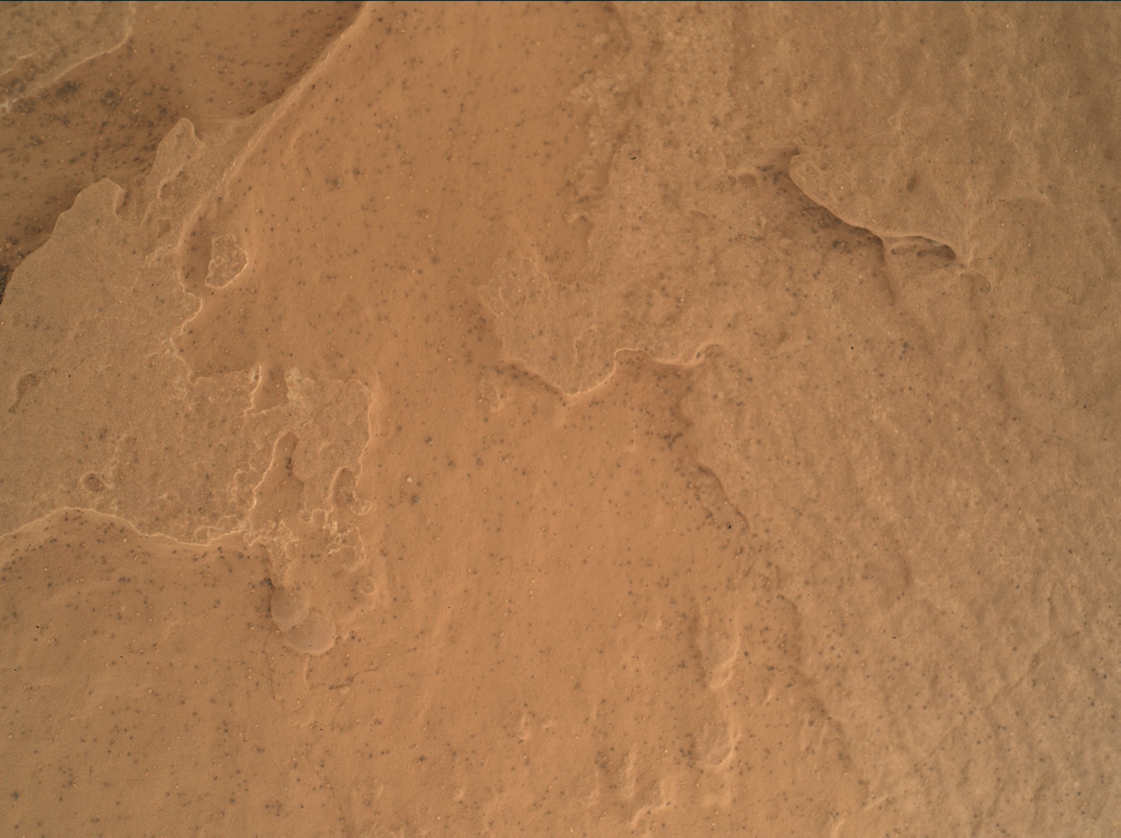 Nasa's Mars rover Curiosity acquired this image using its Mars Hand Lens Imager (MAHLI) on Sol 1734