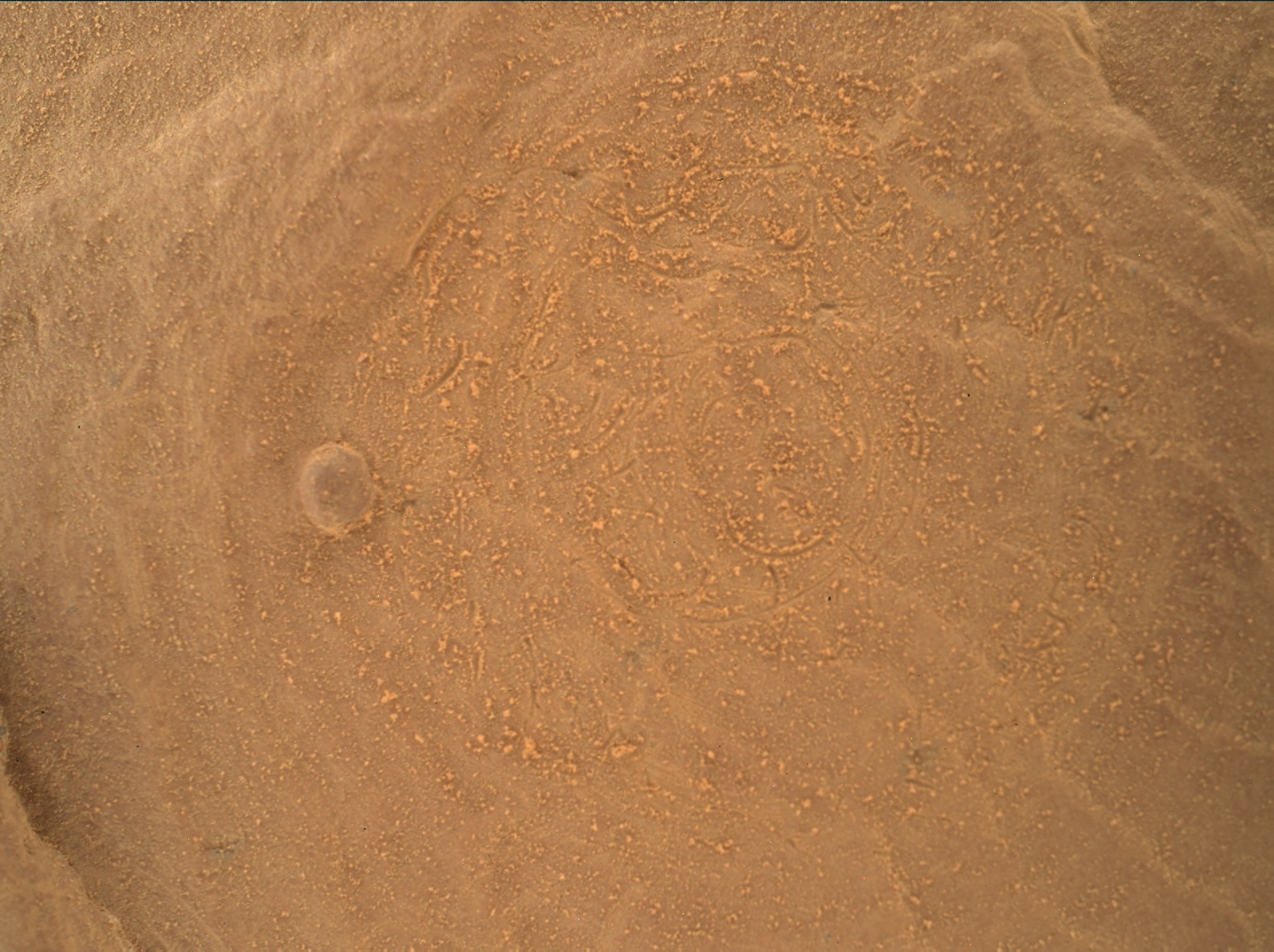 Nasa's Mars rover Curiosity acquired this image using its Mars Hand Lens Imager (MAHLI) on Sol 1736