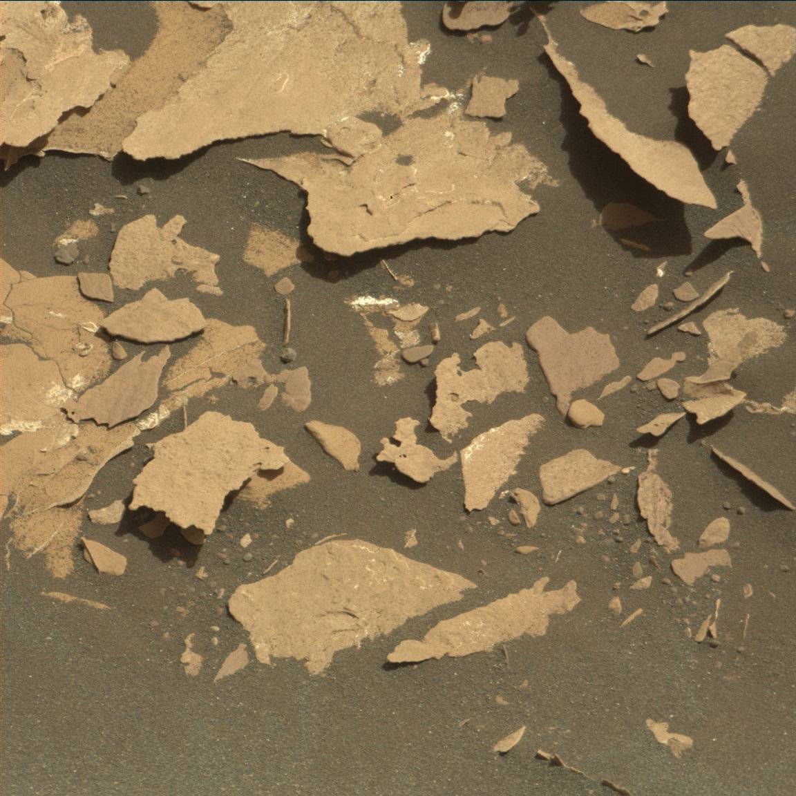 Nasa's Mars rover Curiosity acquired this image using its Mast Camera (Mastcam) on Sol 1737