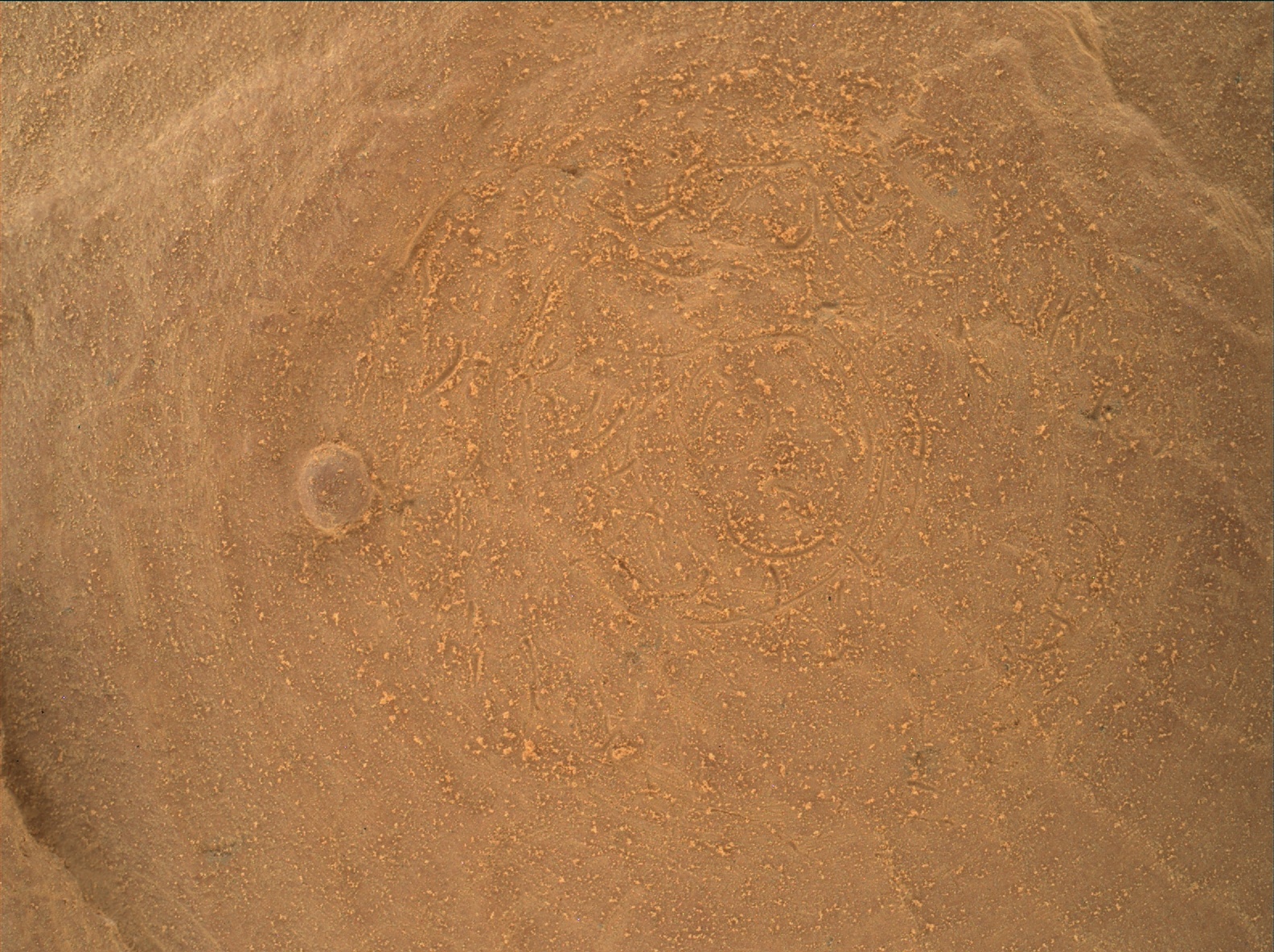 Nasa's Mars rover Curiosity acquired this image using its Mars Hand Lens Imager (MAHLI) on Sol 1739