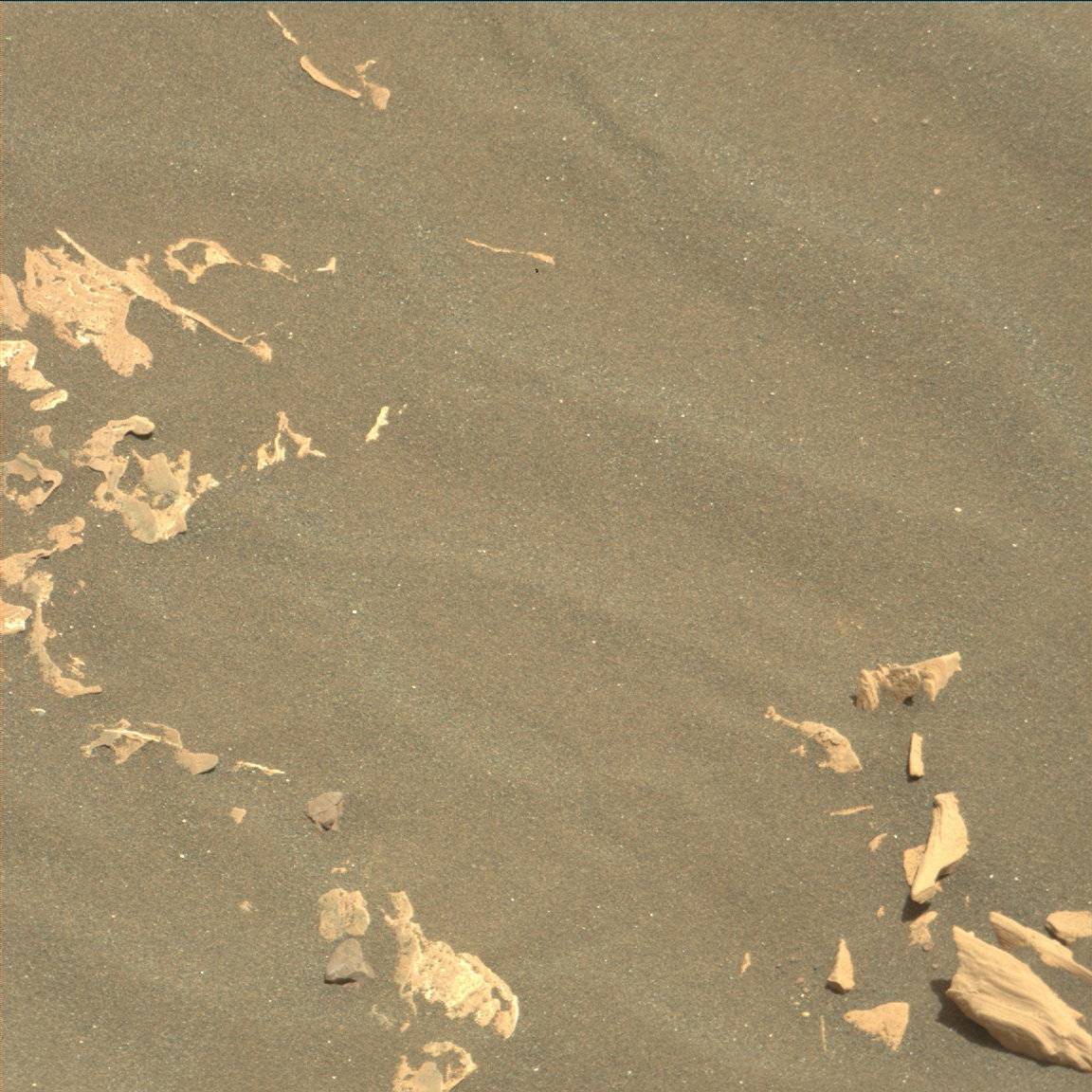 Nasa's Mars rover Curiosity acquired this image using its Mast Camera (Mastcam) on Sol 1746