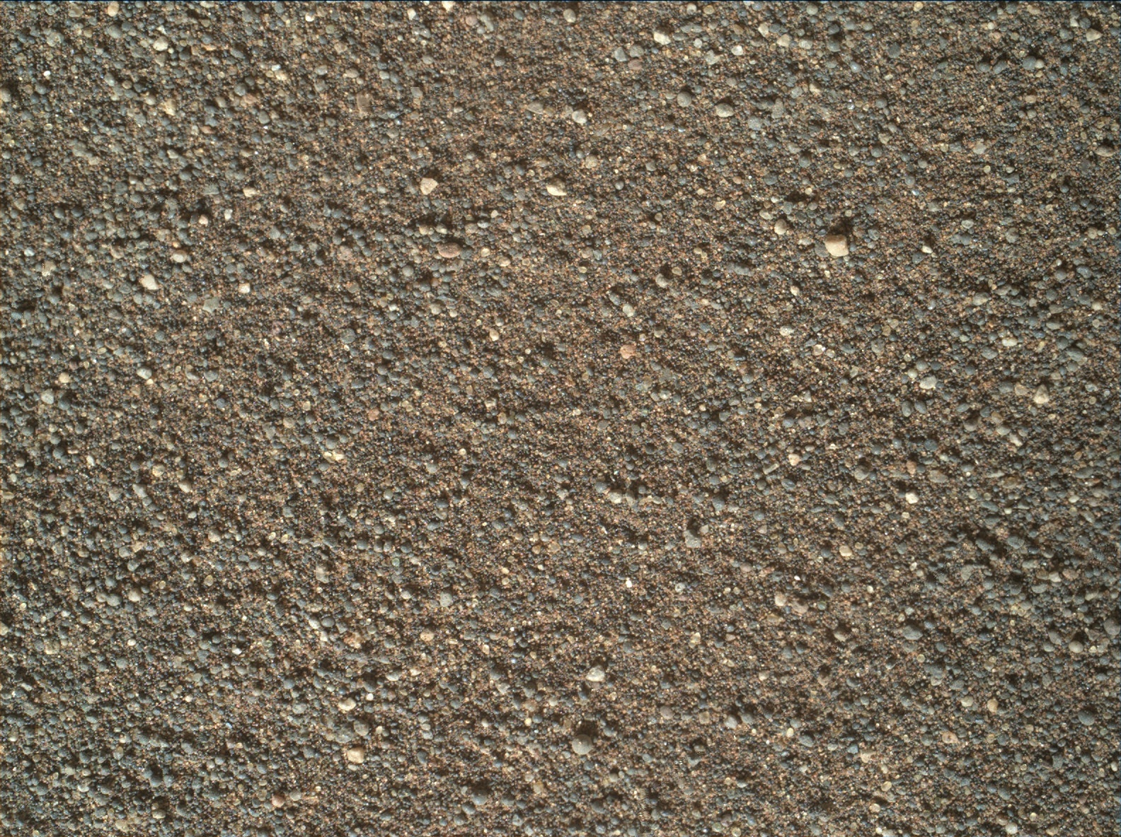 Nasa's Mars rover Curiosity acquired this image using its Mars Hand Lens Imager (MAHLI) on Sol 1751