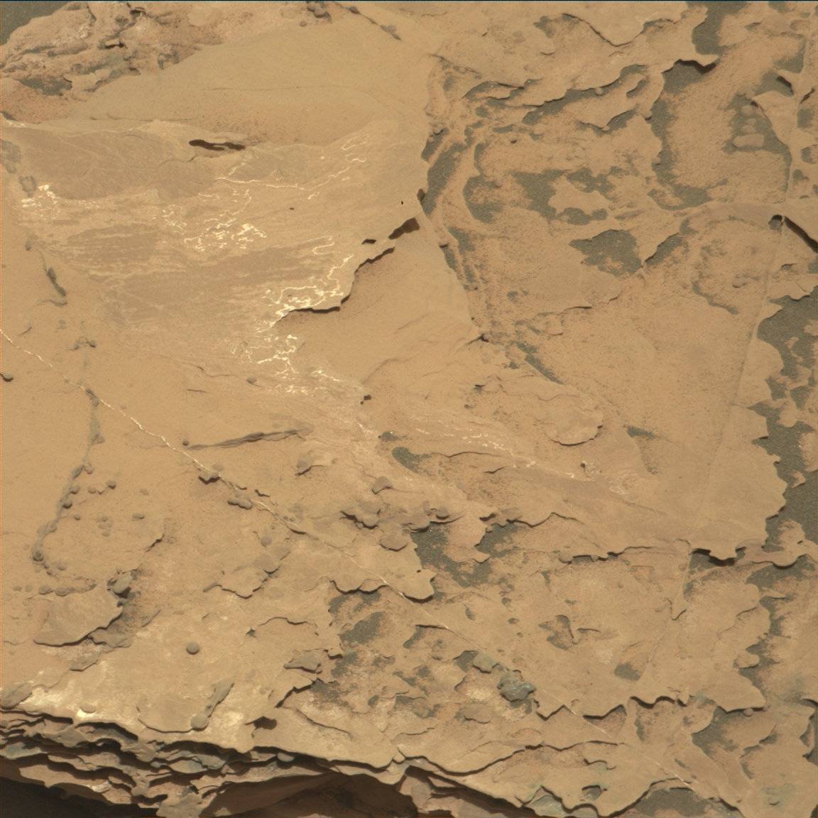 Nasa's Mars rover Curiosity acquired this image using its Mast Camera (Mastcam) on Sol 1752
