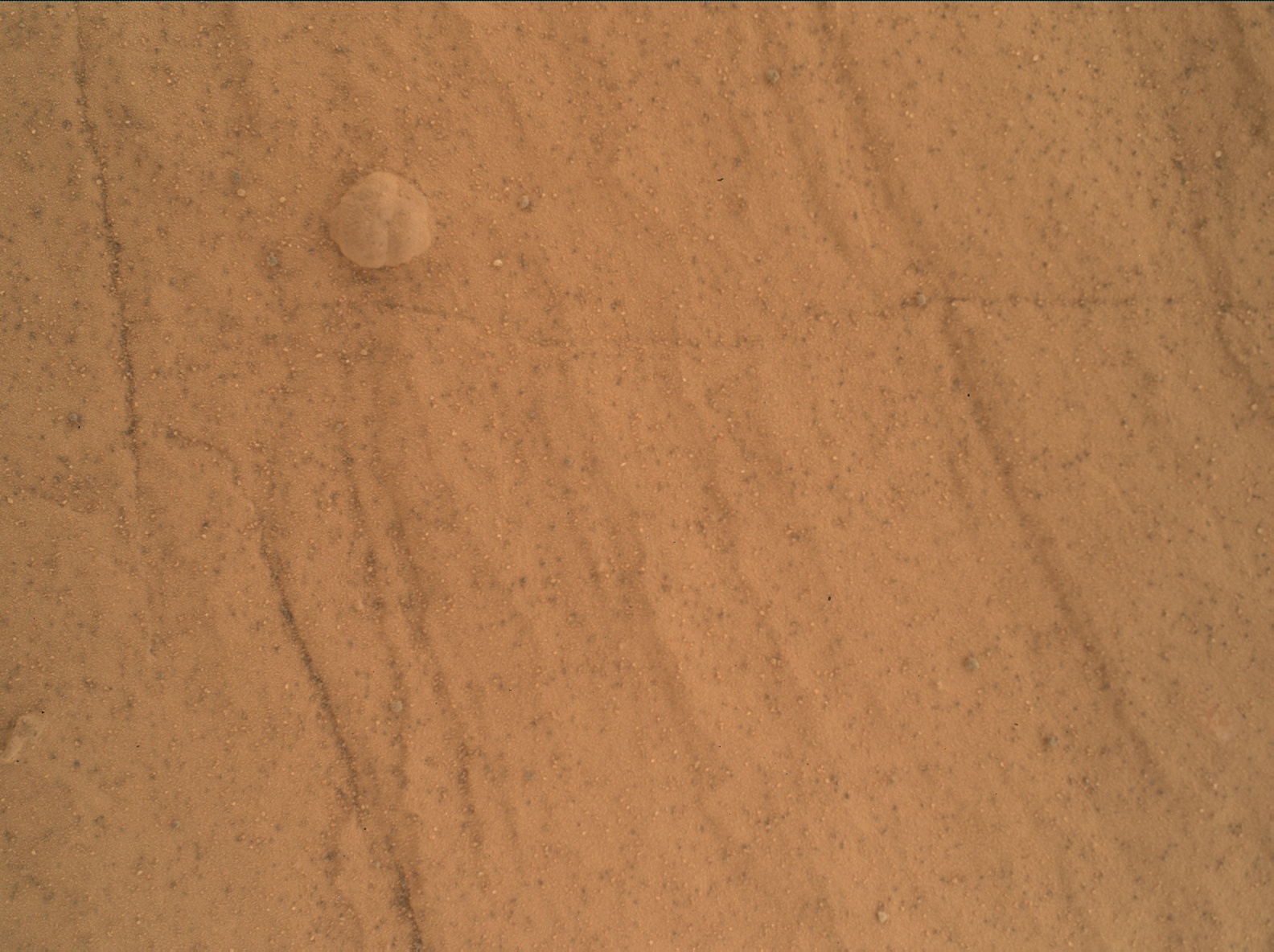 Nasa's Mars rover Curiosity acquired this image using its Mars Hand Lens Imager (MAHLI) on Sol 1753