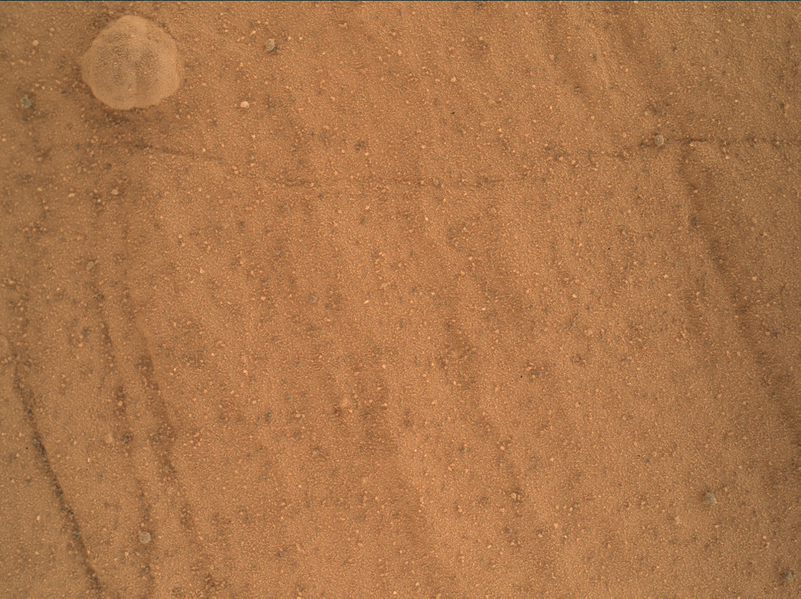 Nasa's Mars rover Curiosity acquired this image using its Mars Hand Lens Imager (MAHLI) on Sol 1753