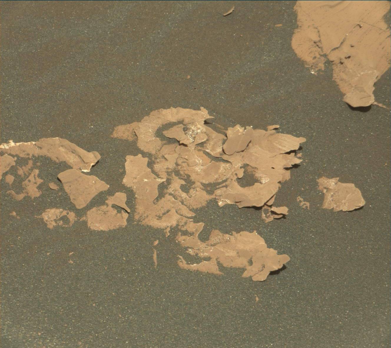 Nasa's Mars rover Curiosity acquired this image using its Mast Camera (Mastcam) on Sol 1755