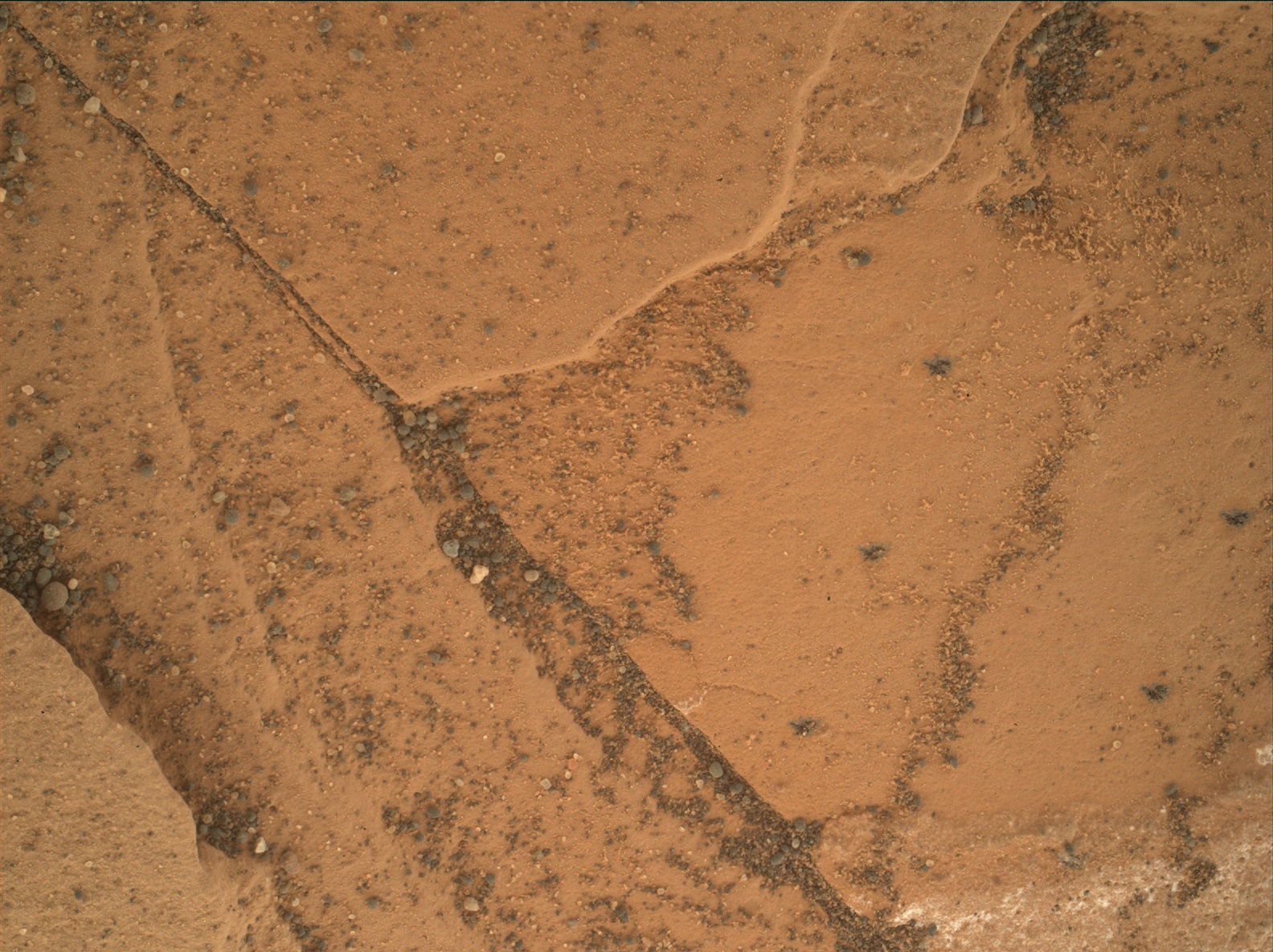 Nasa's Mars rover Curiosity acquired this image using its Mars Hand Lens Imager (MAHLI) on Sol 1781