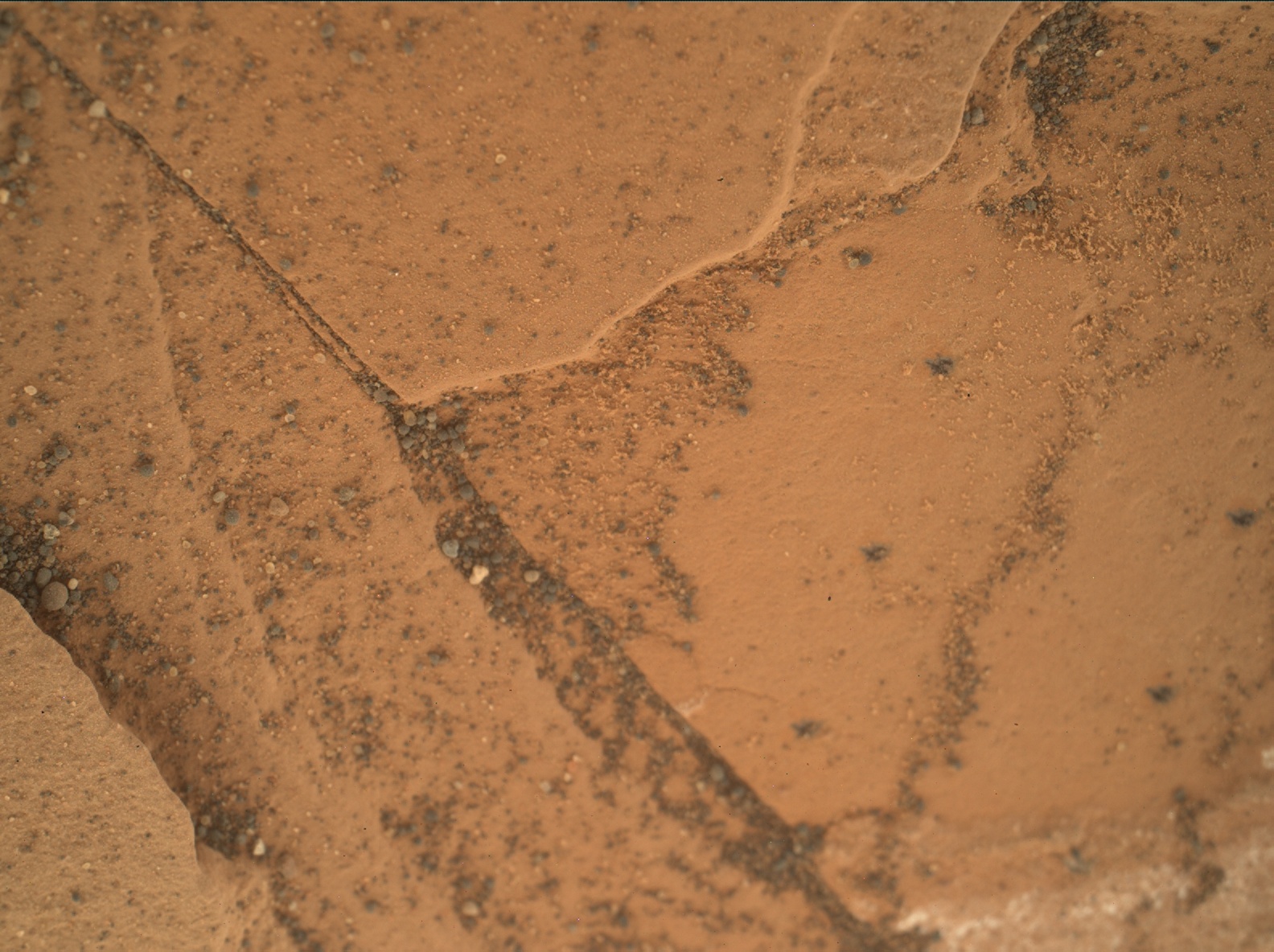 Nasa's Mars rover Curiosity acquired this image using its Mars Hand Lens Imager (MAHLI) on Sol 1781