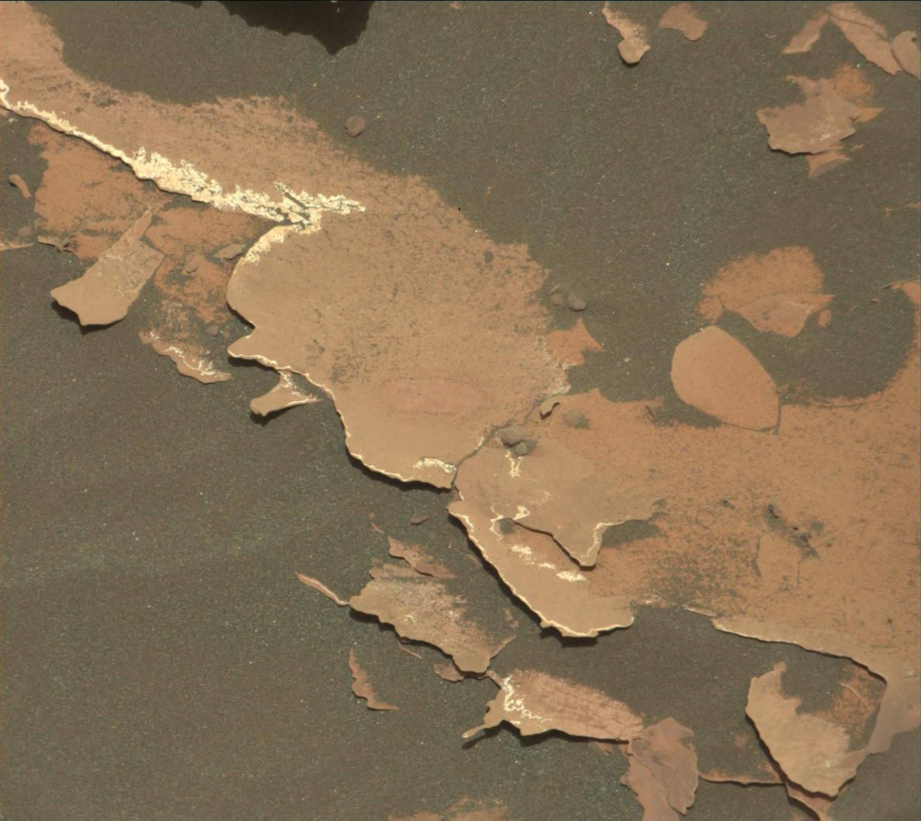 Nasa's Mars rover Curiosity acquired this image using its Mast Camera (Mastcam) on Sol 1782