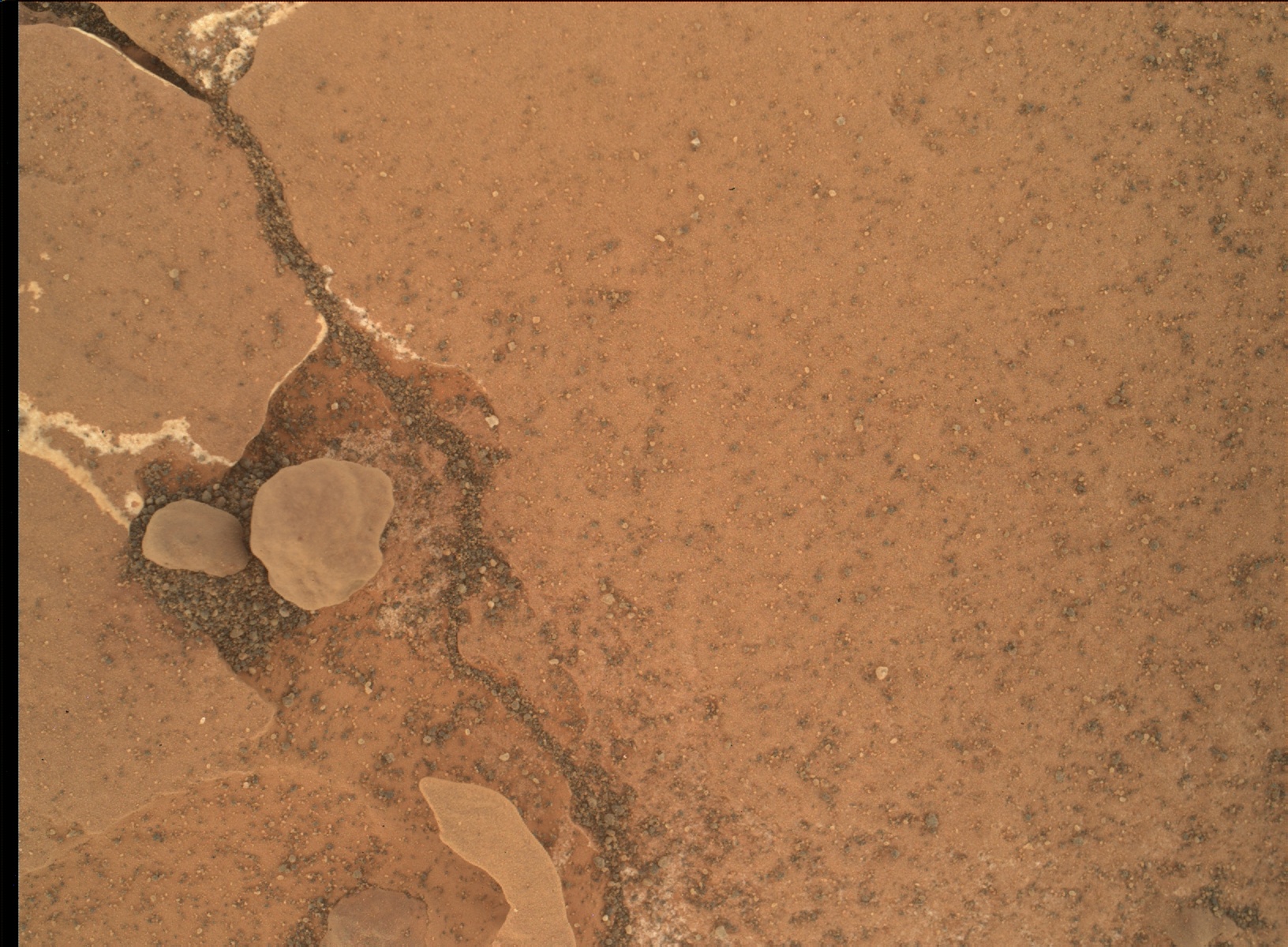 Nasa's Mars rover Curiosity acquired this image using its Mars Hand Lens Imager (MAHLI) on Sol 1782