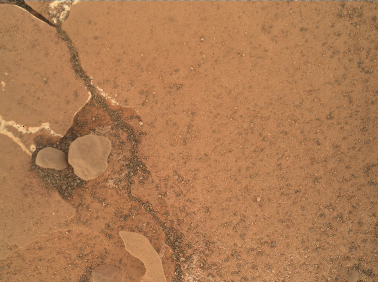 Nasa's Mars rover Curiosity acquired this image using its Mars Hand Lens Imager (MAHLI) on Sol 1782
