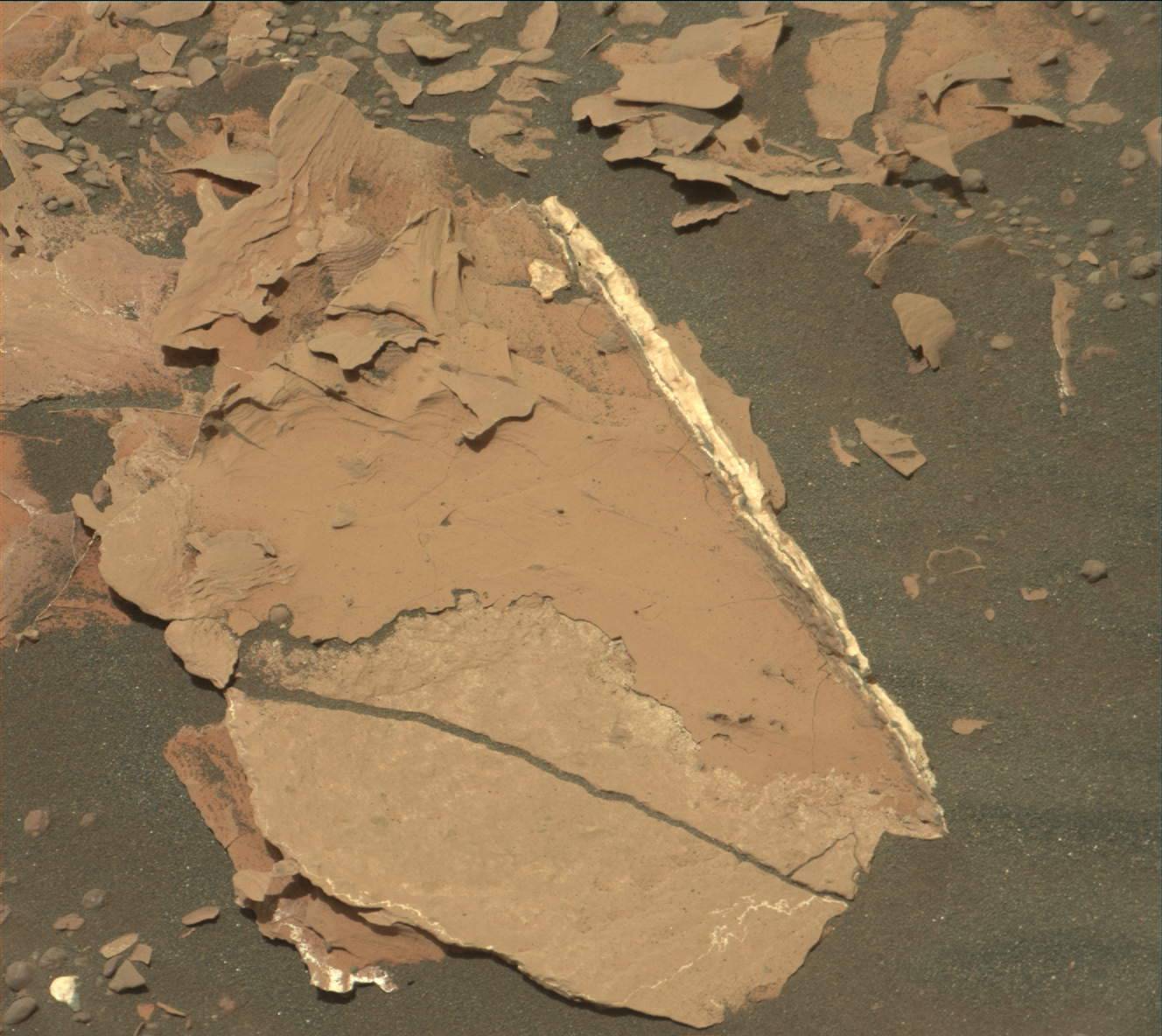 Nasa's Mars rover Curiosity acquired this image using its Mast Camera (Mastcam) on Sol 1783