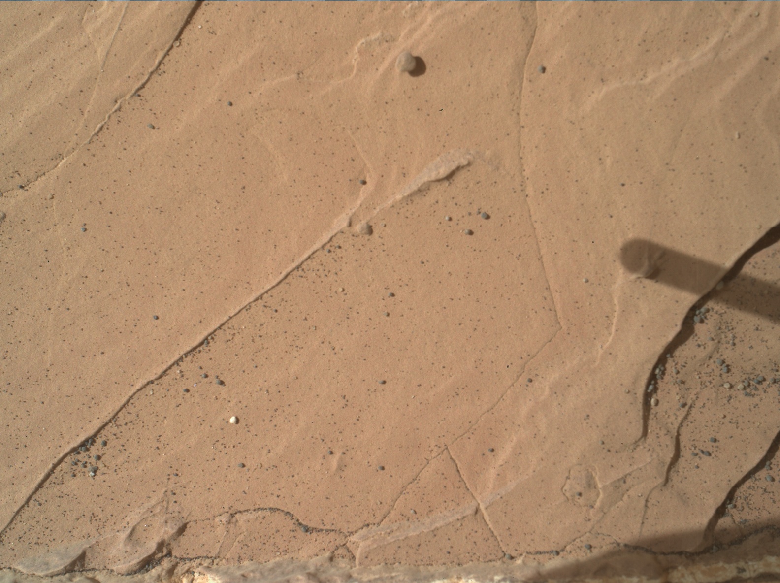 Nasa's Mars rover Curiosity acquired this image using its Mars Hand Lens Imager (MAHLI) on Sol 1783