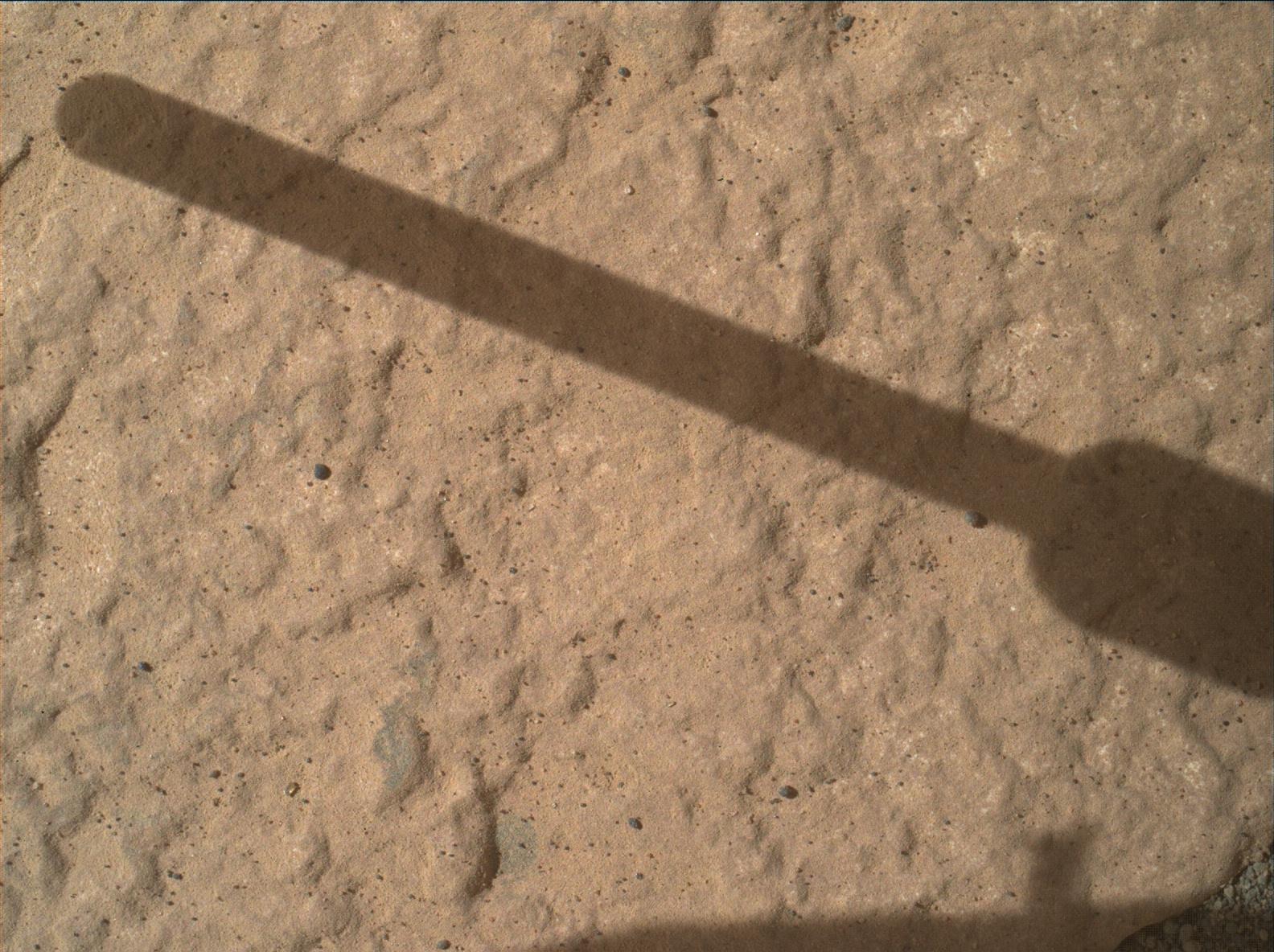 Nasa's Mars rover Curiosity acquired this image using its Mars Hand Lens Imager (MAHLI) on Sol 1784