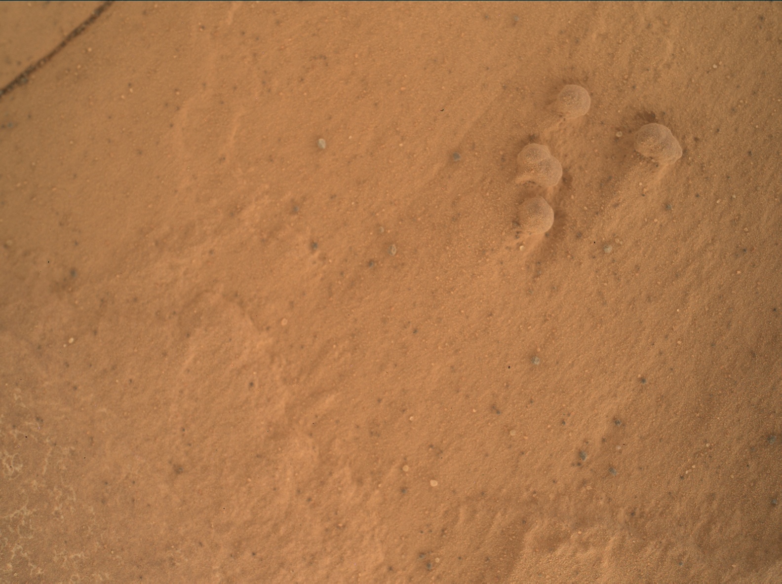 Nasa's Mars rover Curiosity acquired this image using its Mars Hand Lens Imager (MAHLI) on Sol 1786
