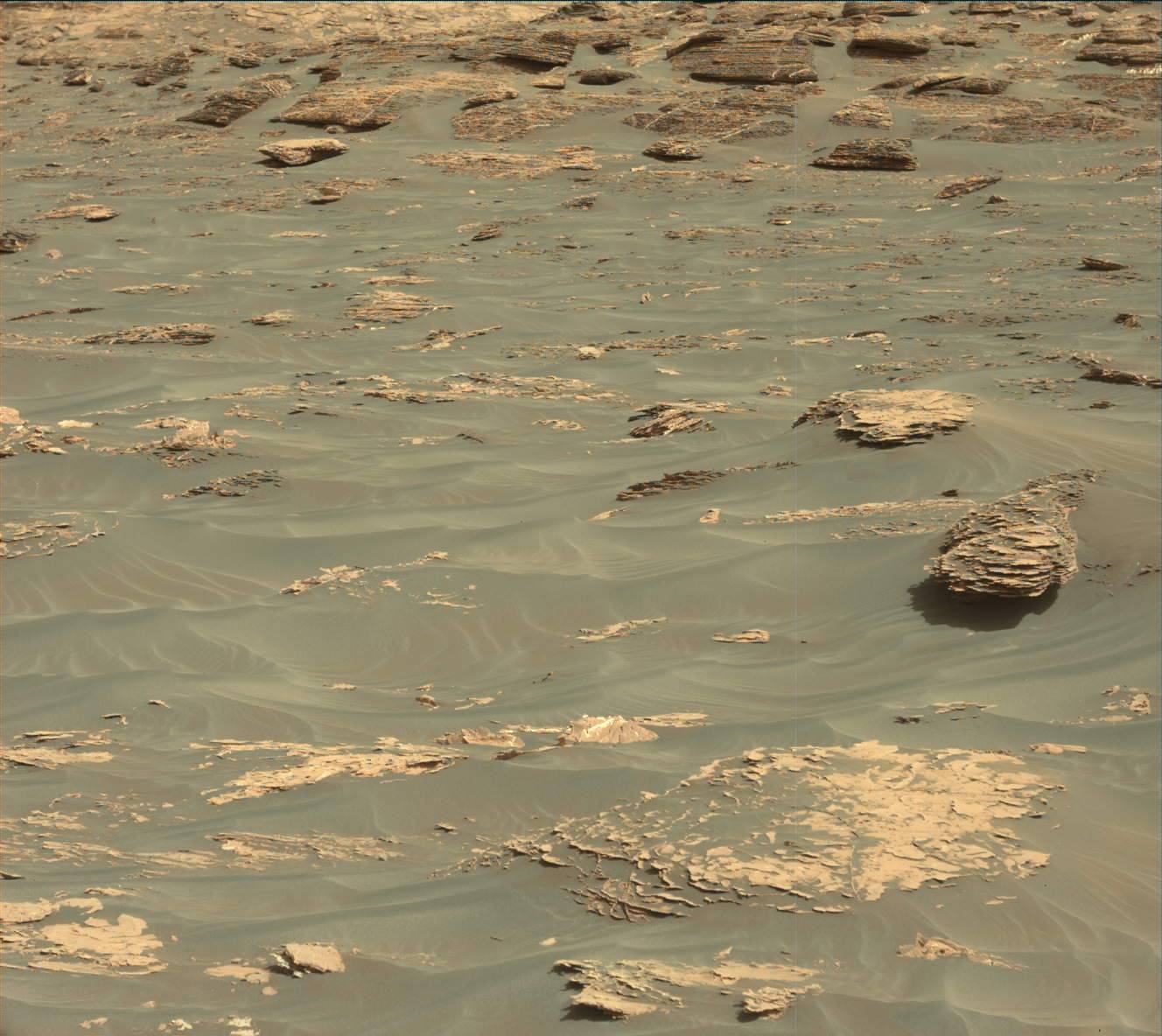 Nasa's Mars rover Curiosity acquired this image using its Mast Camera (Mastcam) on Sol 1788