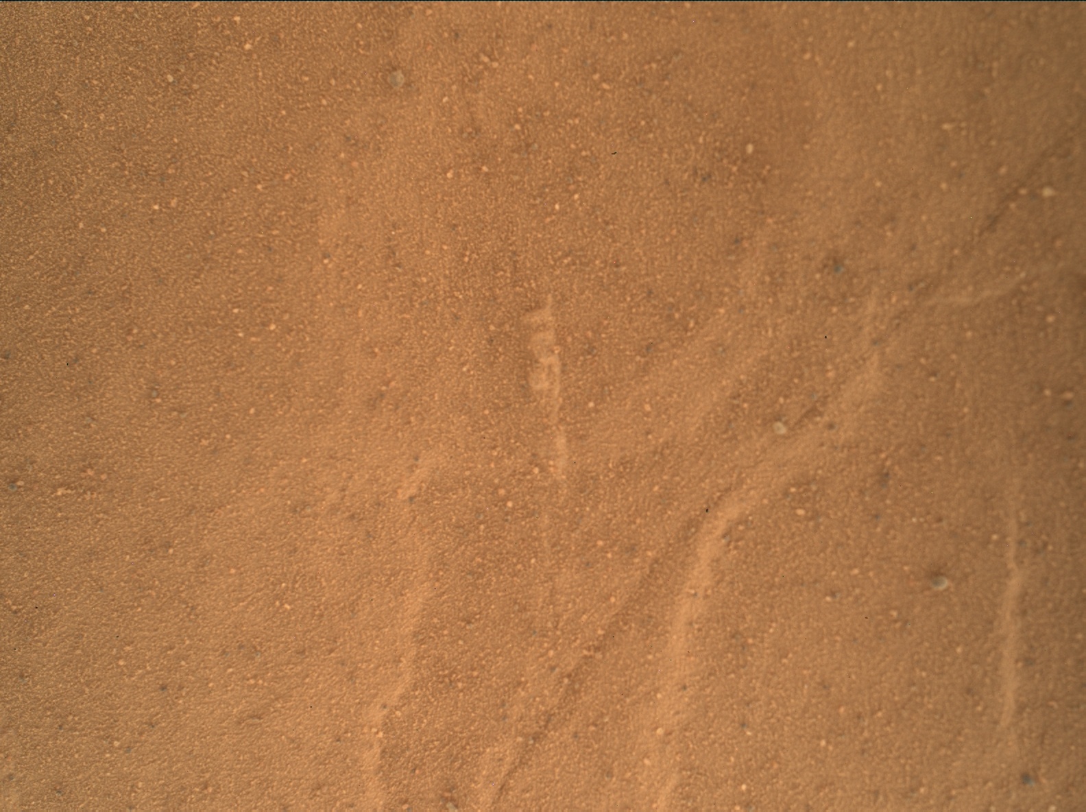 Nasa's Mars rover Curiosity acquired this image using its Mars Hand Lens Imager (MAHLI) on Sol 1788