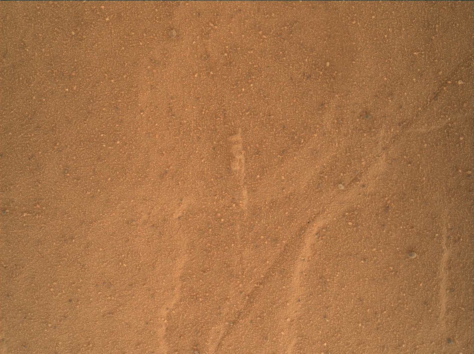 Nasa's Mars rover Curiosity acquired this image using its Mars Hand Lens Imager (MAHLI) on Sol 1791