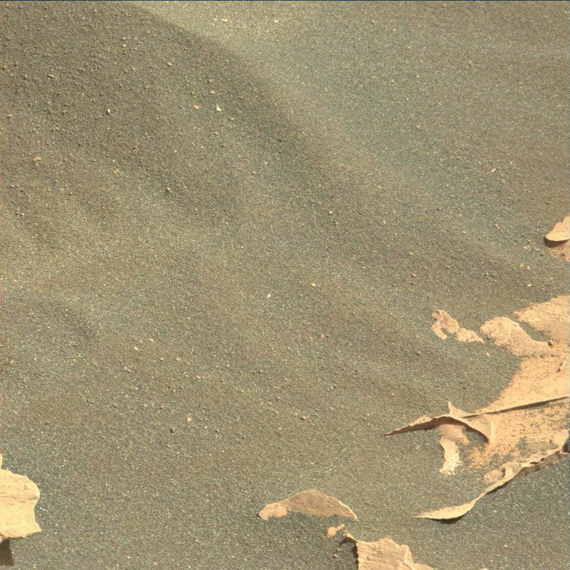 Nasa's Mars rover Curiosity acquired this image using its Mast Camera (Mastcam) on Sol 1793