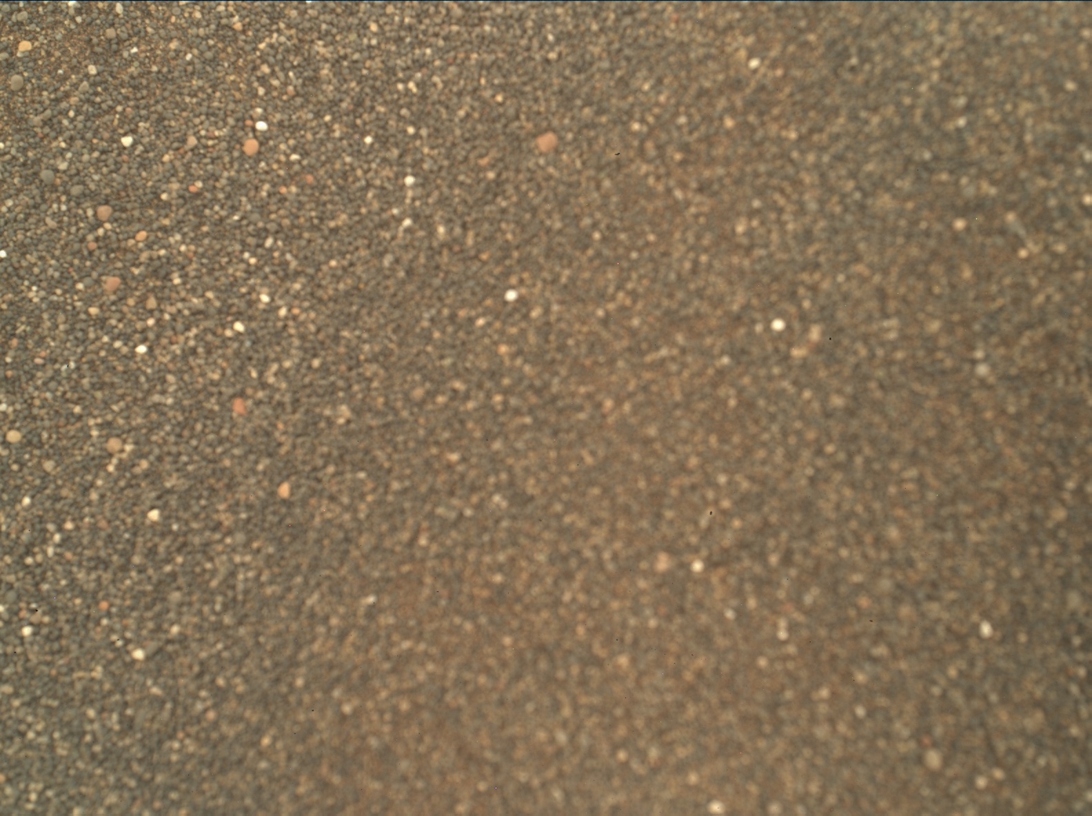 Nasa's Mars rover Curiosity acquired this image using its Mars Hand Lens Imager (MAHLI) on Sol 1793