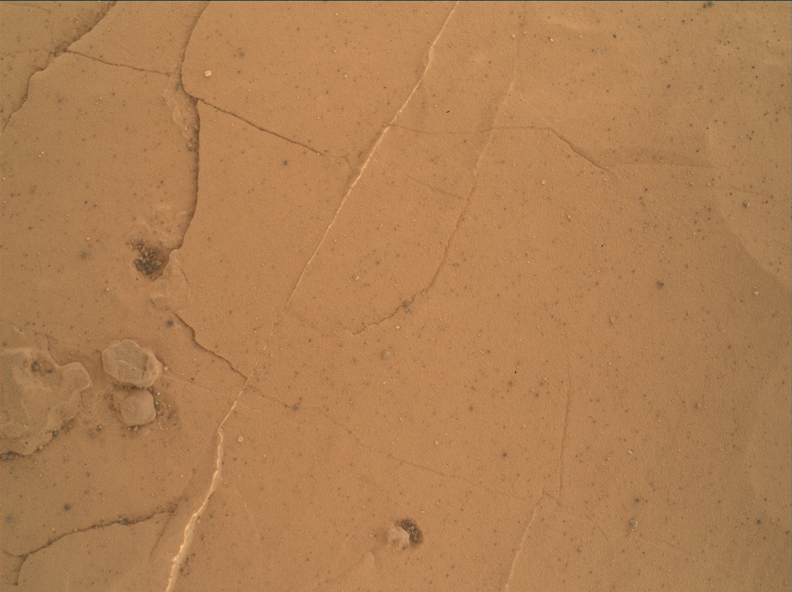 Nasa's Mars rover Curiosity acquired this image using its Mars Hand Lens Imager (MAHLI) on Sol 1795