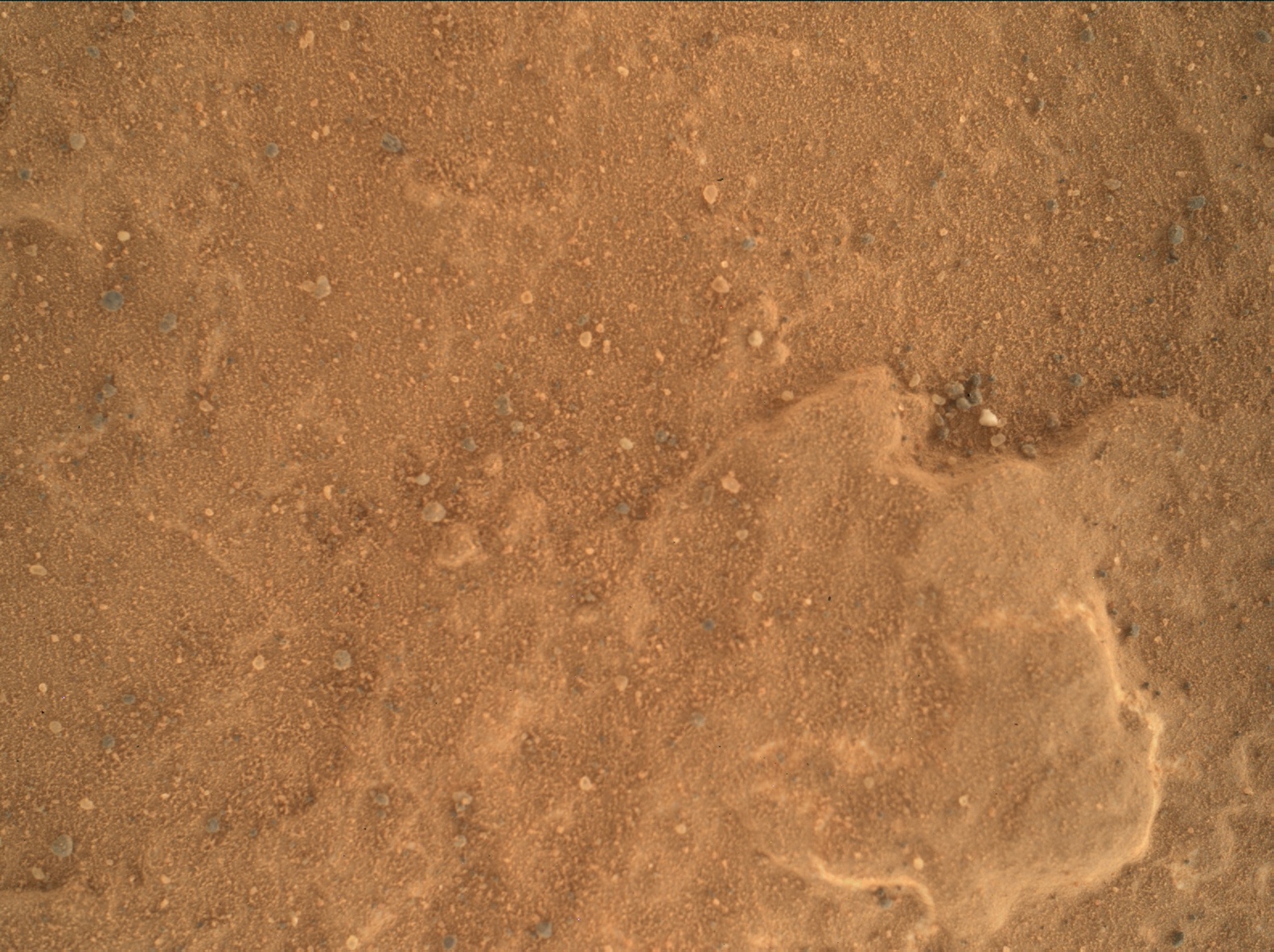 Nasa's Mars rover Curiosity acquired this image using its Mars Hand Lens Imager (MAHLI) on Sol 1796