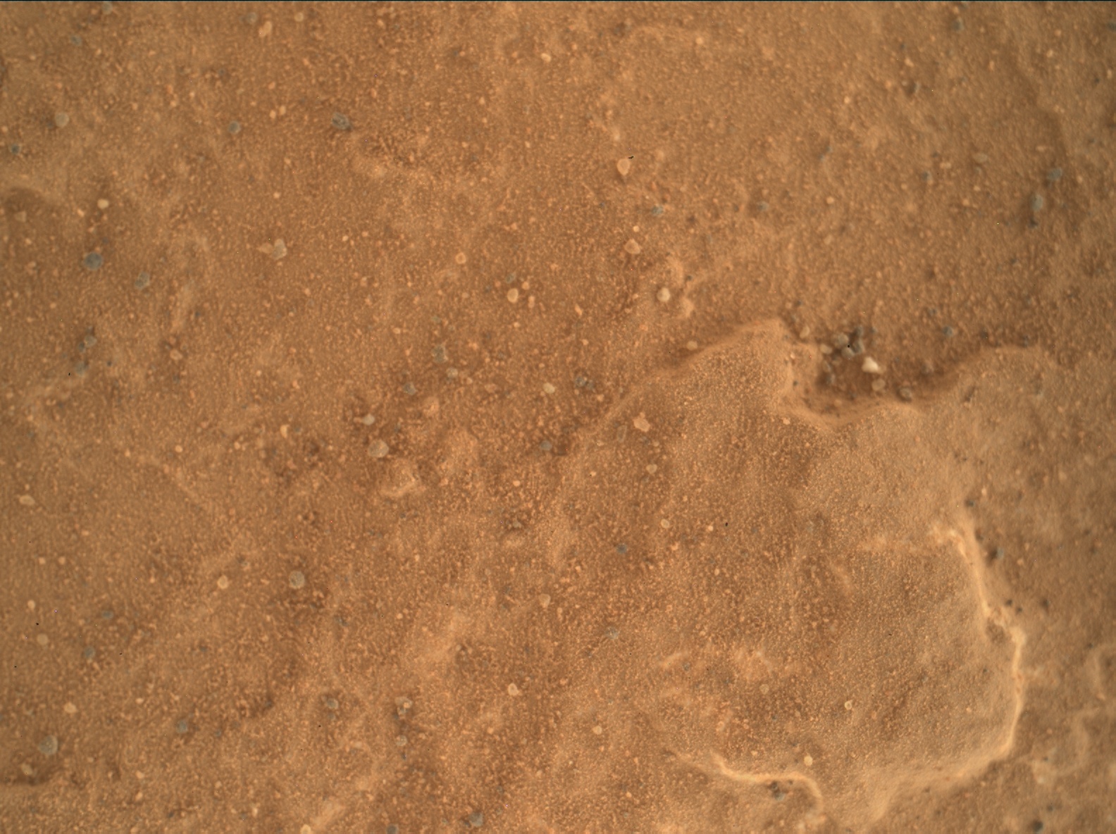 Nasa's Mars rover Curiosity acquired this image using its Mars Hand Lens Imager (MAHLI) on Sol 1796