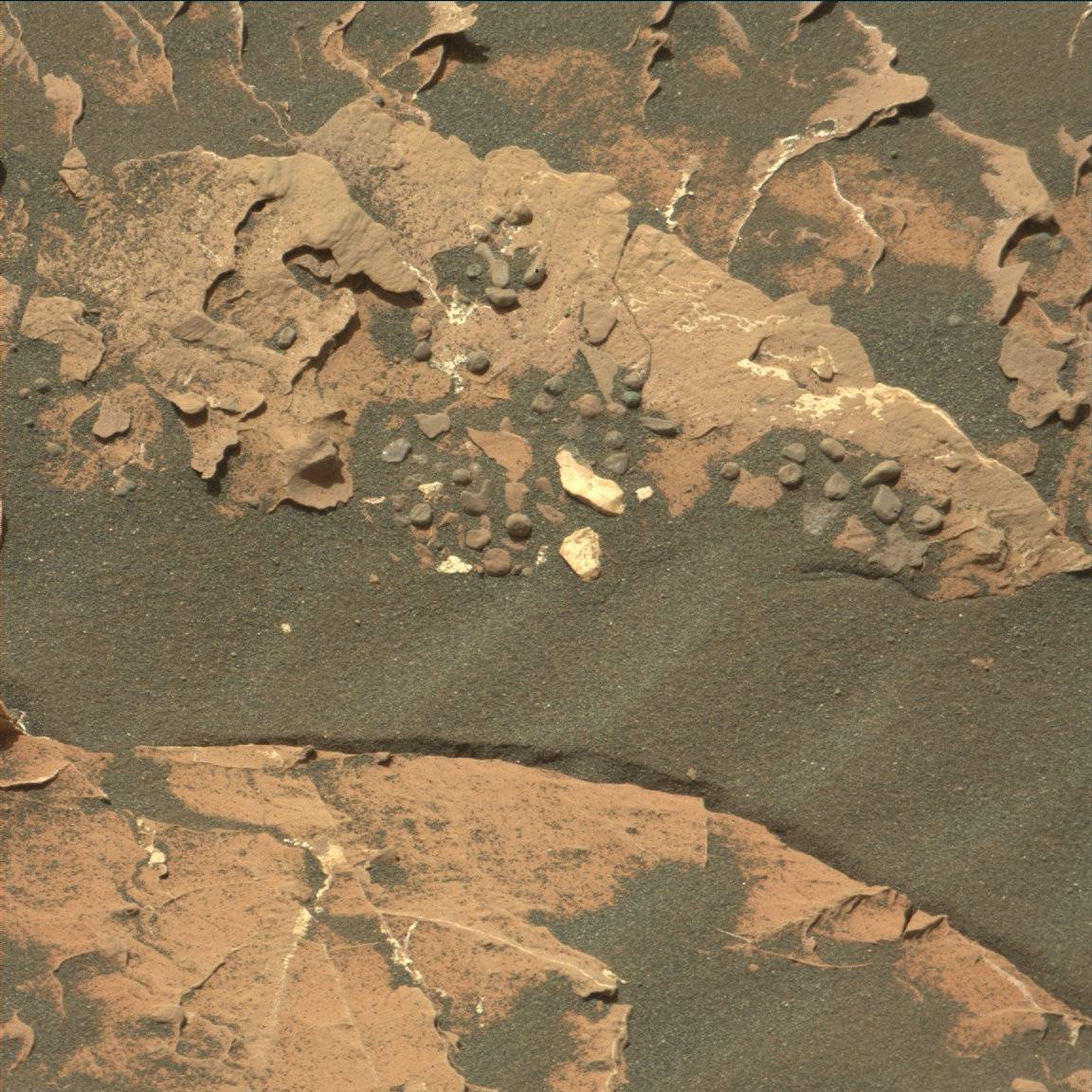 Nasa's Mars rover Curiosity acquired this image using its Mast Camera (Mastcam) on Sol 1799