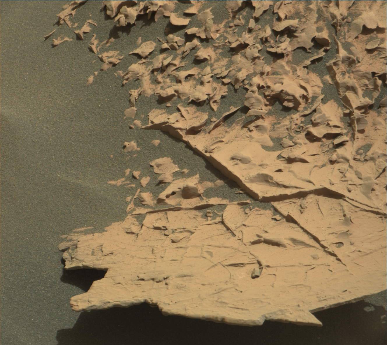 Nasa's Mars rover Curiosity acquired this image using its Mast Camera (Mastcam) on Sol 1800