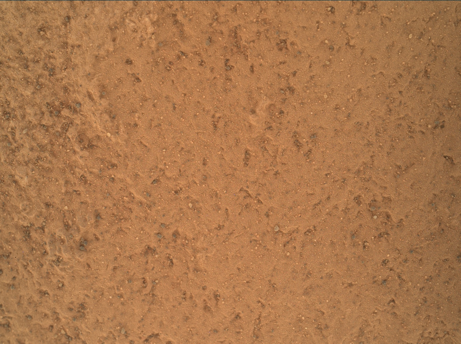 Nasa's Mars rover Curiosity acquired this image using its Mars Hand Lens Imager (MAHLI) on Sol 1802
