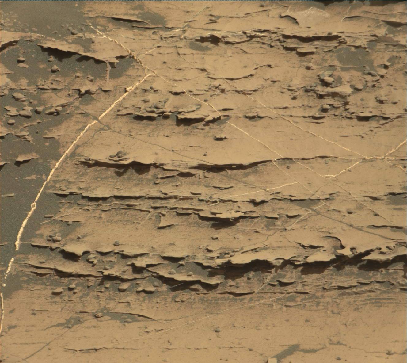 Nasa's Mars rover Curiosity acquired this image using its Mast Camera (Mastcam) on Sol 1805