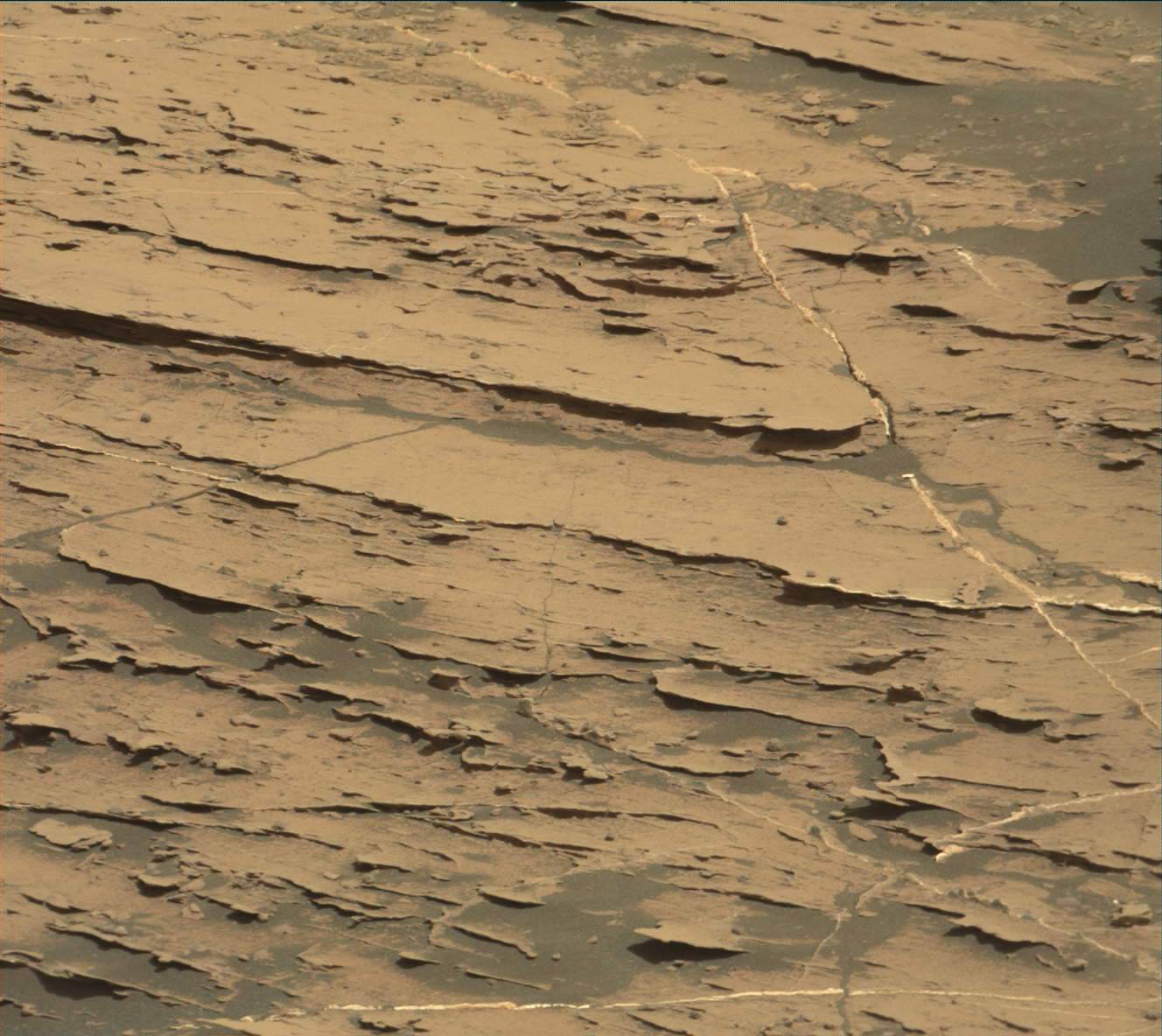 Nasa's Mars rover Curiosity acquired this image using its Mast Camera (Mastcam) on Sol 1805