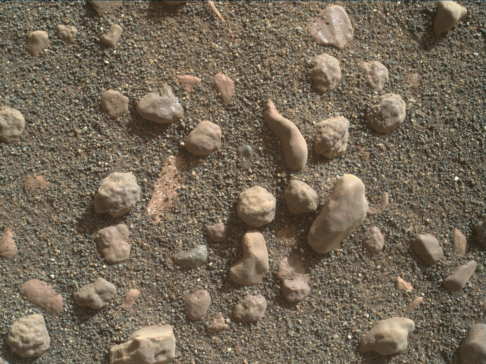 Nasa's Mars rover Curiosity acquired this image using its Mars Hand Lens Imager (MAHLI) on Sol 1807