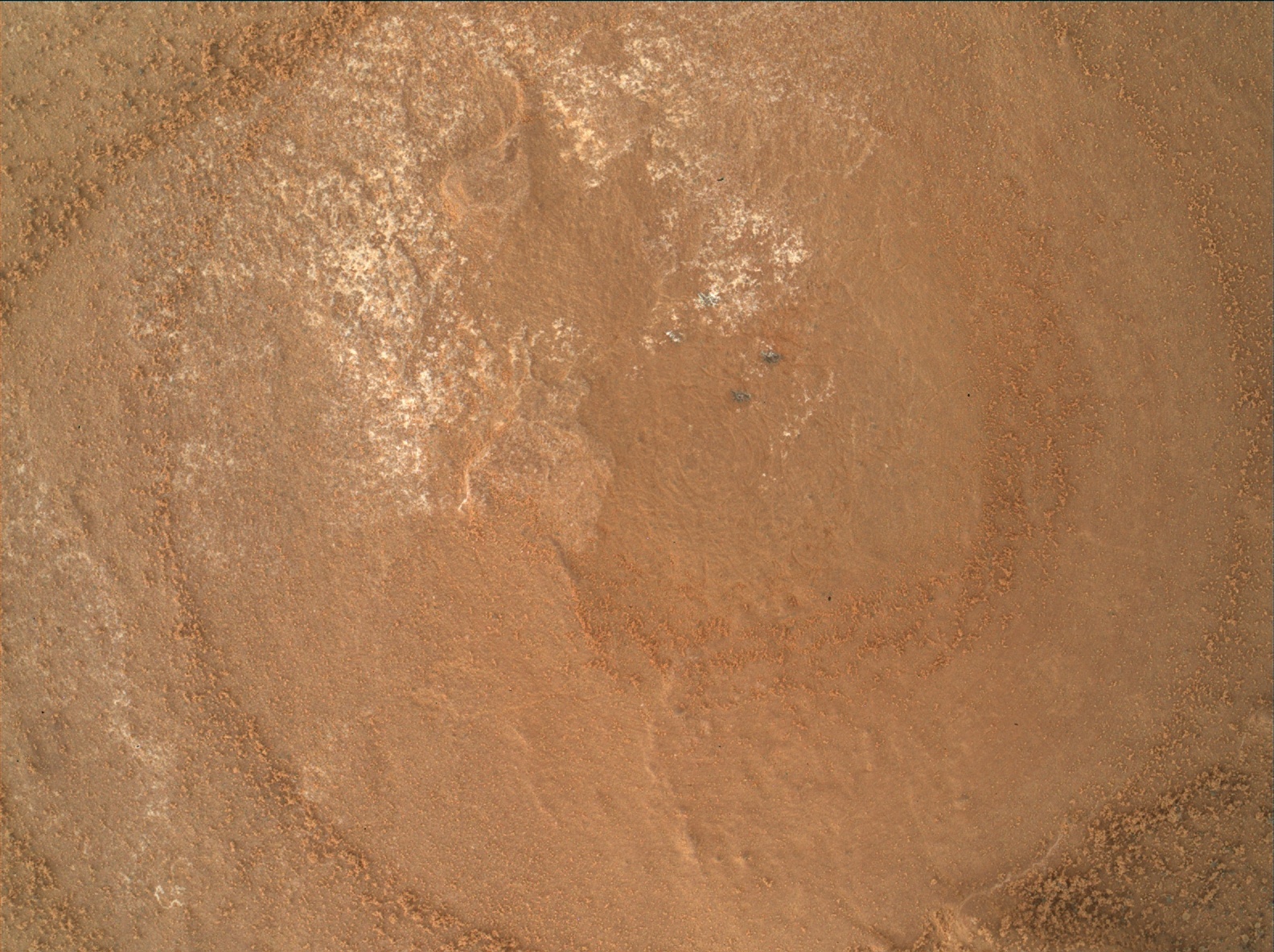 Nasa's Mars rover Curiosity acquired this image using its Mars Hand Lens Imager (MAHLI) on Sol 1807