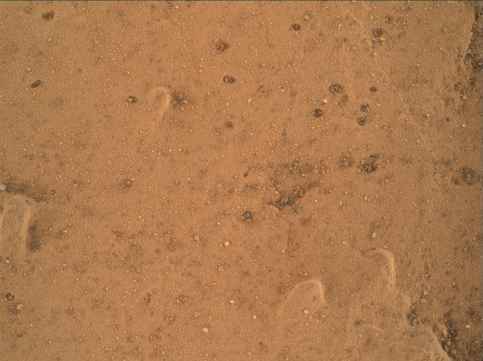 Nasa's Mars rover Curiosity acquired this image using its Mars Hand Lens Imager (MAHLI) on Sol 1809