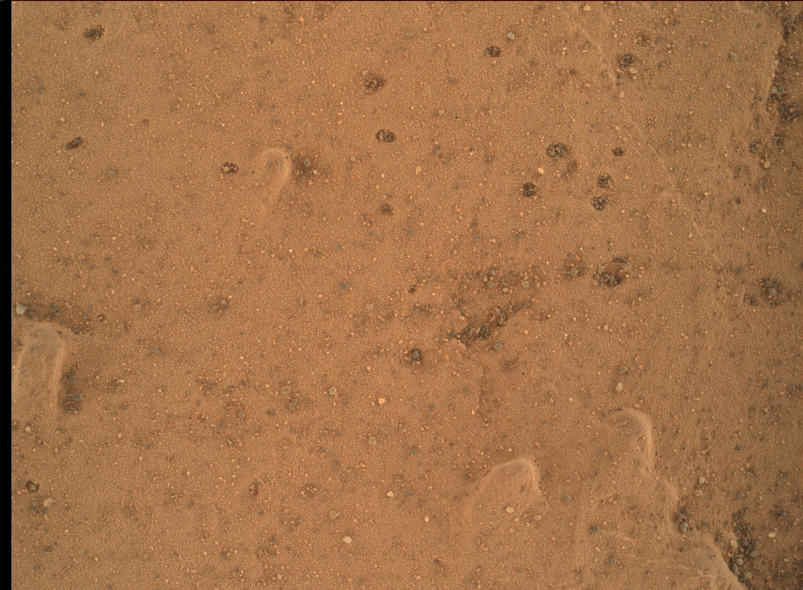 Nasa's Mars rover Curiosity acquired this image using its Mars Hand Lens Imager (MAHLI) on Sol 1809