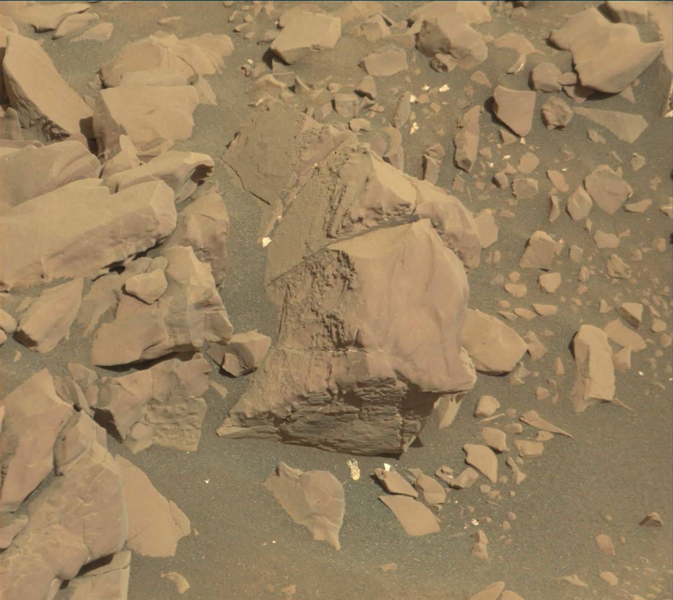 Nasa's Mars rover Curiosity acquired this image using its Mast Camera (Mastcam) on Sol 1816
