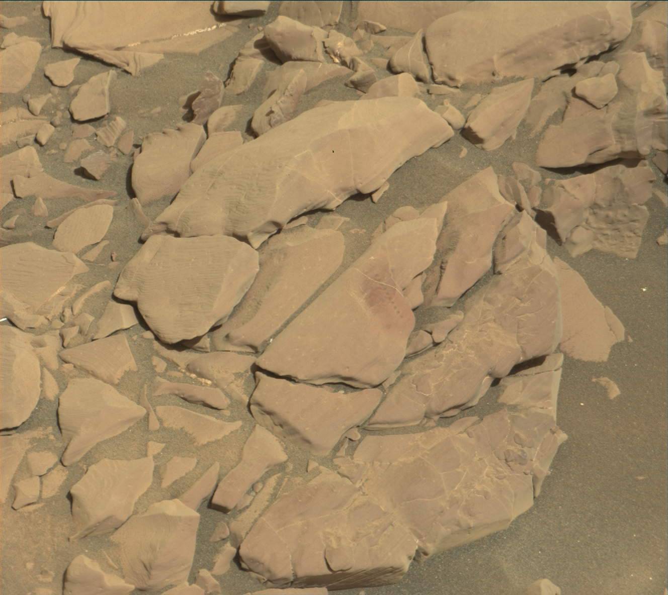 Nasa's Mars rover Curiosity acquired this image using its Mast Camera (Mastcam) on Sol 1816