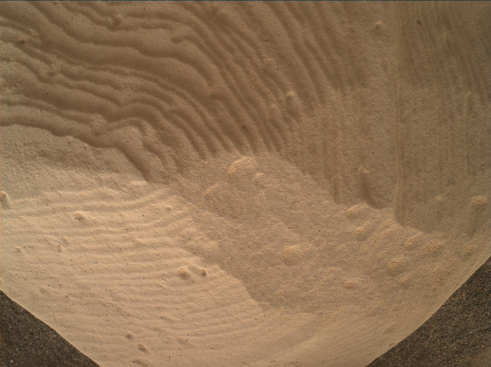 Nasa's Mars rover Curiosity acquired this image using its Mars Hand Lens Imager (MAHLI) on Sol 1819