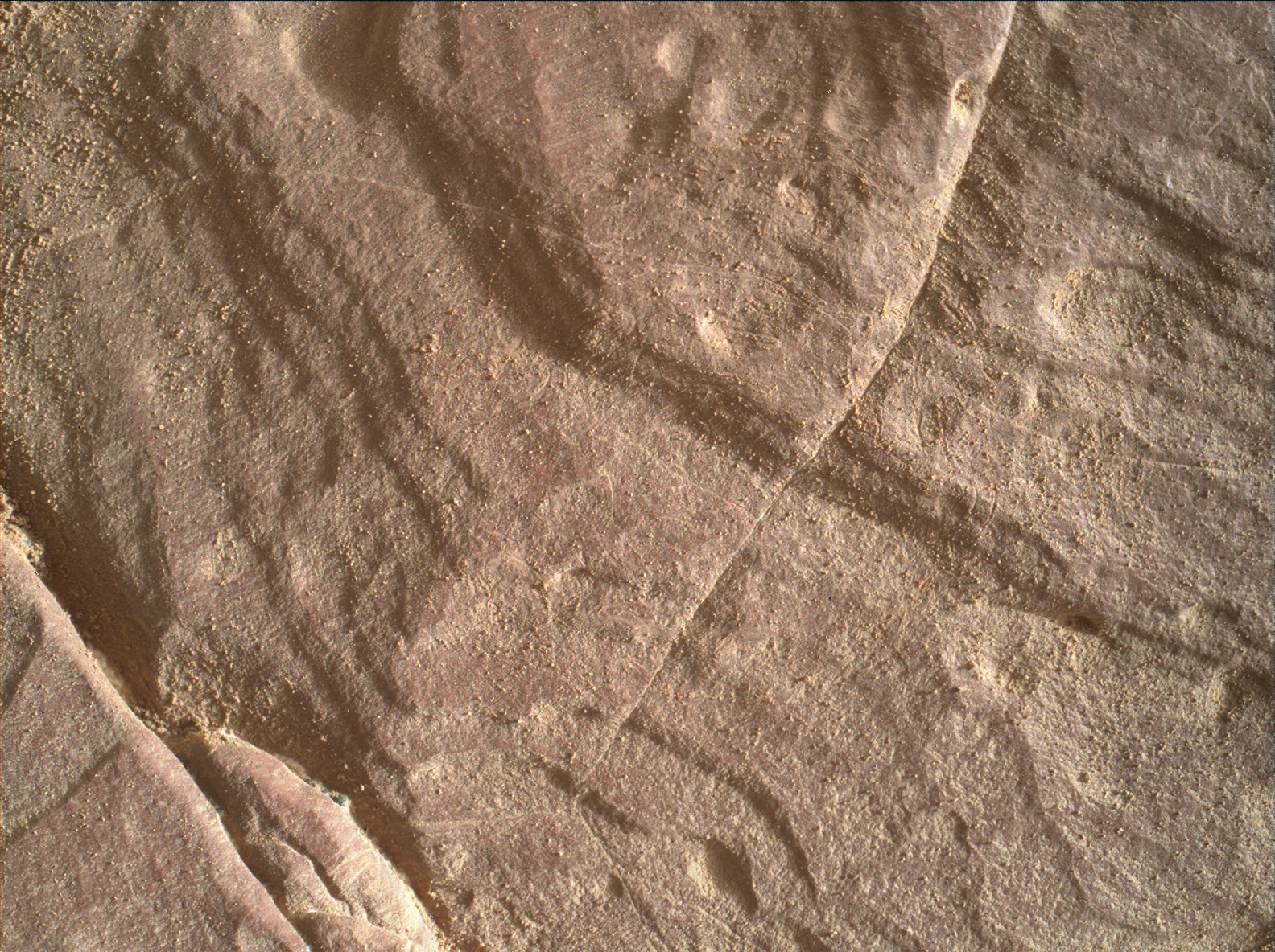 Nasa's Mars rover Curiosity acquired this image using its Mars Hand Lens Imager (MAHLI) on Sol 1819