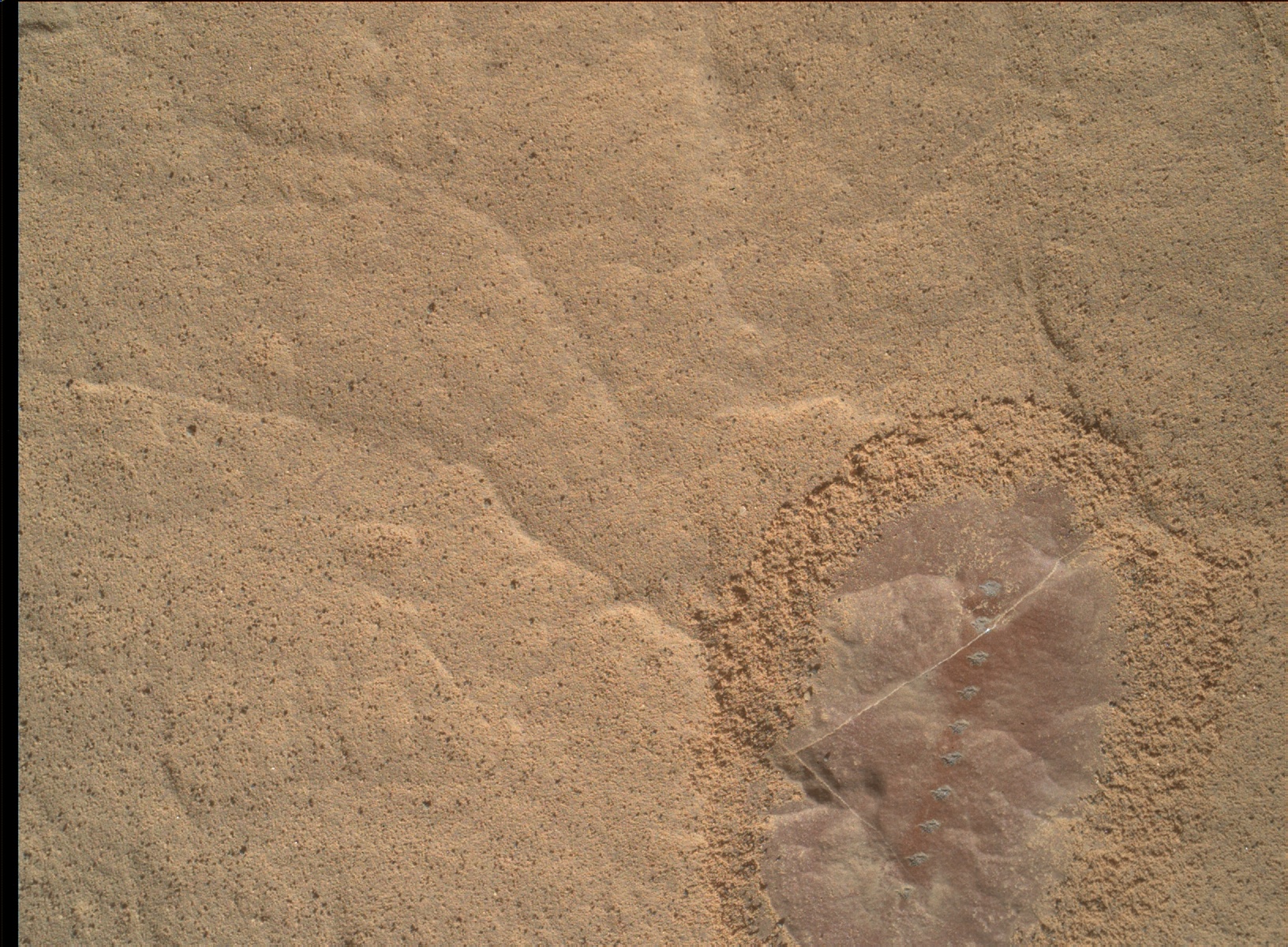 Nasa's Mars rover Curiosity acquired this image using its Mars Hand Lens Imager (MAHLI) on Sol 1821