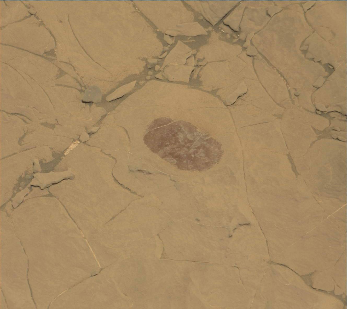 Nasa's Mars rover Curiosity acquired this image using its Mast Camera (Mastcam) on Sol 1822