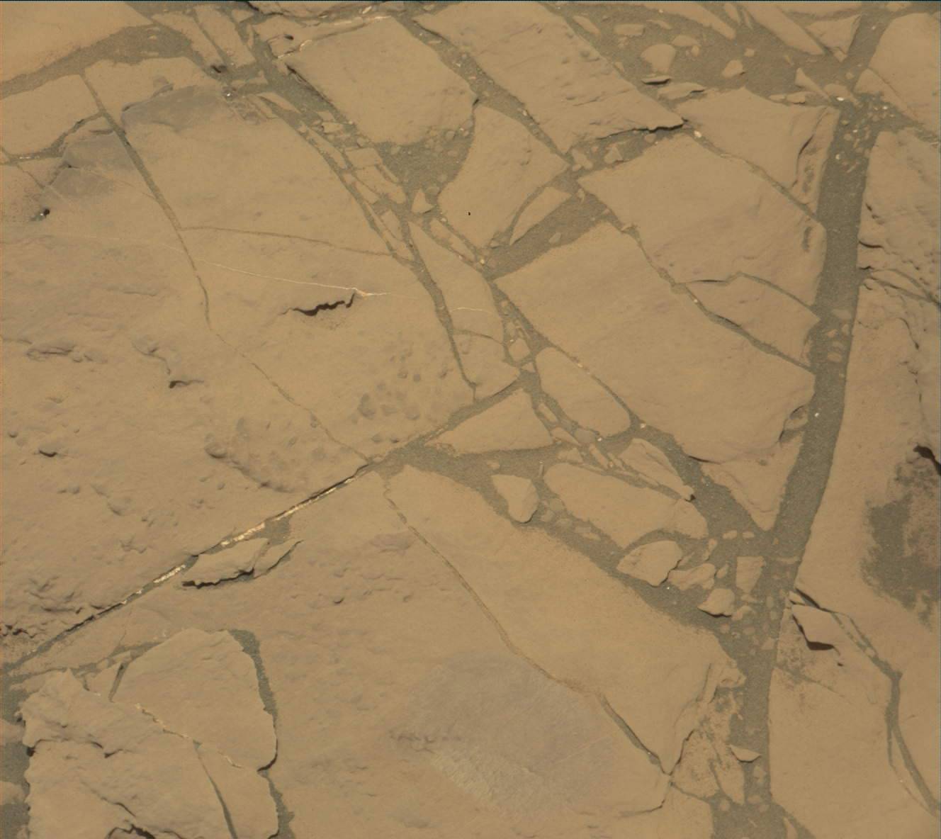 Nasa's Mars rover Curiosity acquired this image using its Mast Camera (Mastcam) on Sol 1827