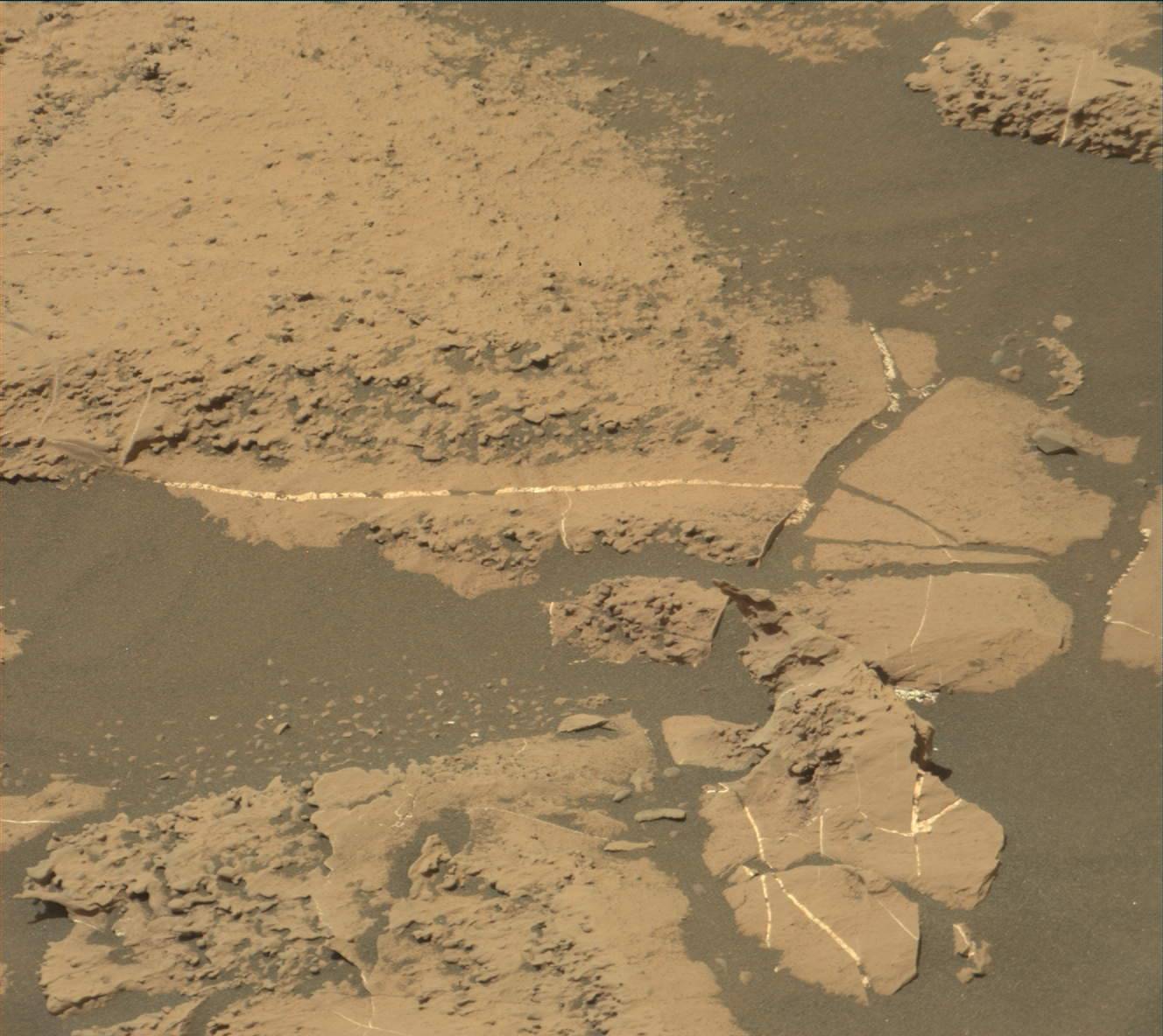 Nasa's Mars rover Curiosity acquired this image using its Mast Camera (Mastcam) on Sol 1828